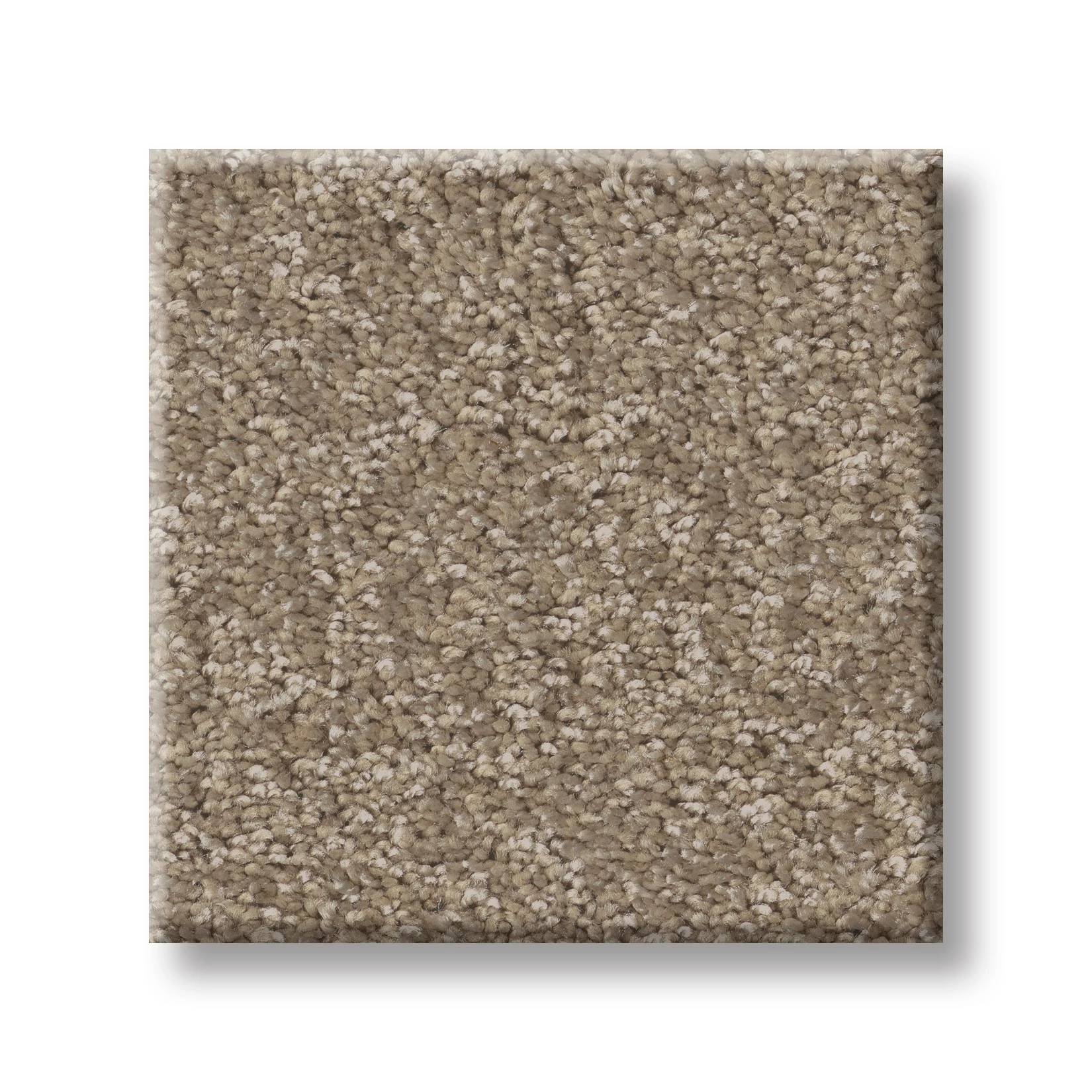 Take My Word I Carpet - Mission Ridge Swatch Thumbnail pupop1