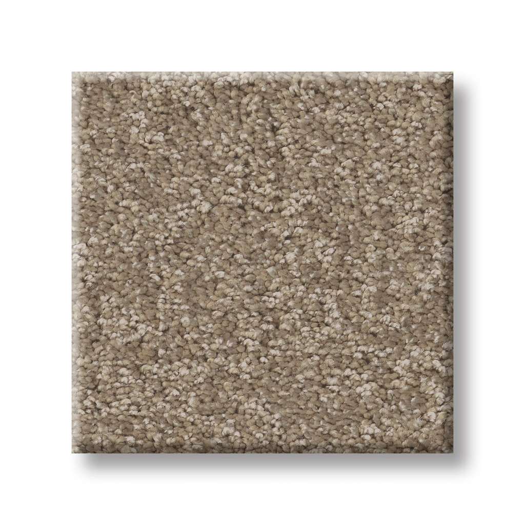 Take My Word I Carpet - Mission Ridge  Swatch Image 