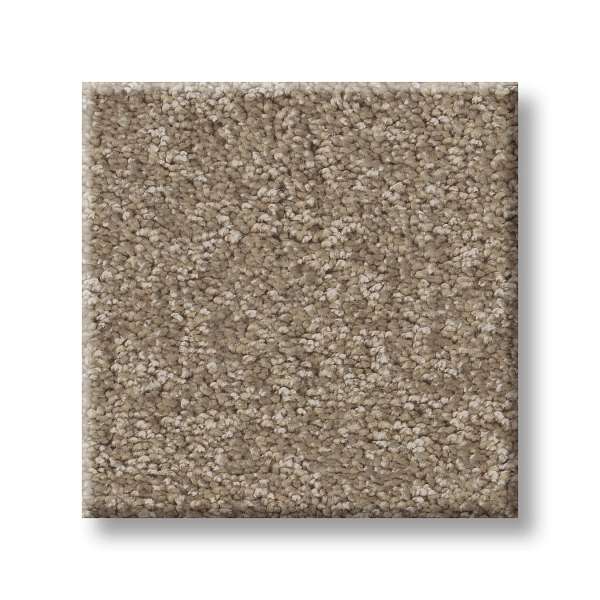 Style Take My Word I Carpet - Mission Ridge Swatch