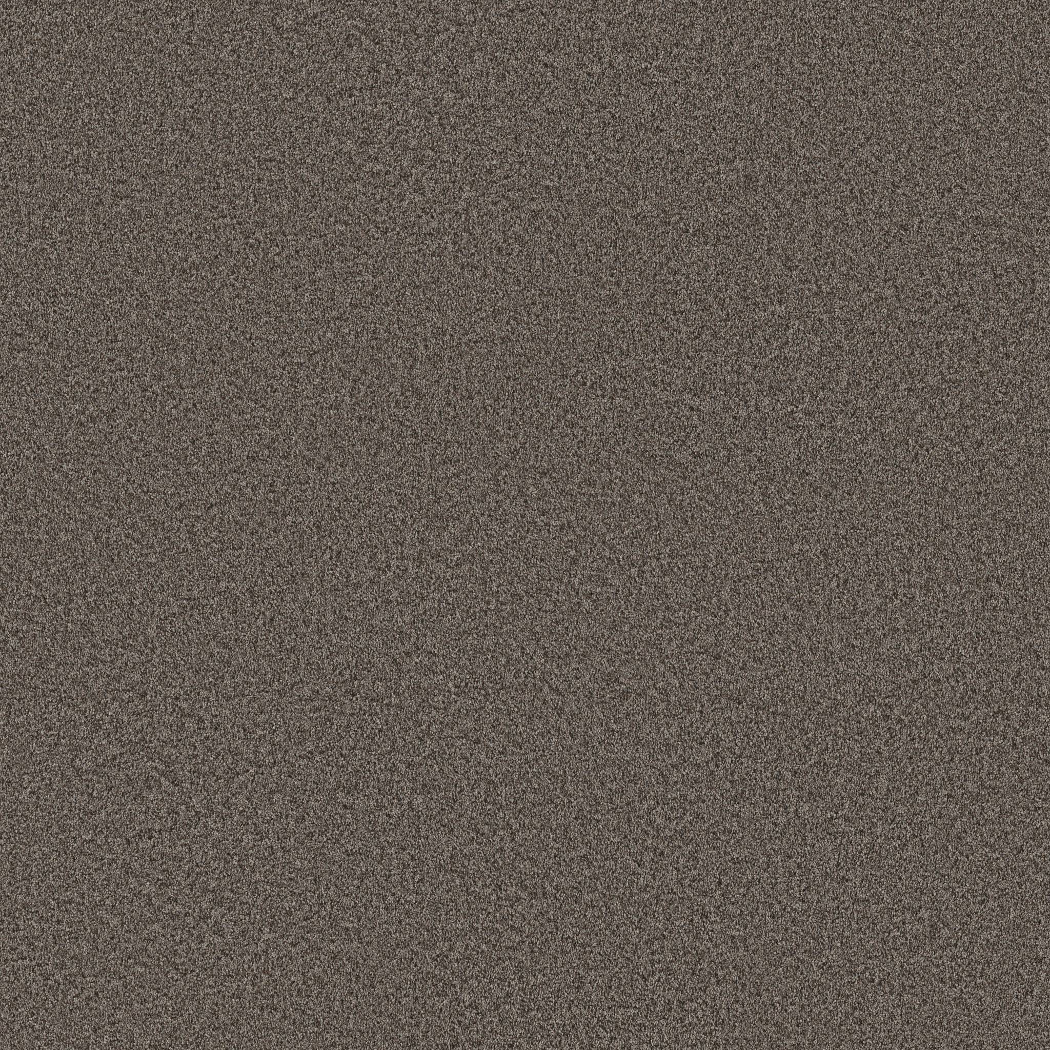 Take My Word I Carpet - Urban Rustic Zoomed Swatch Image