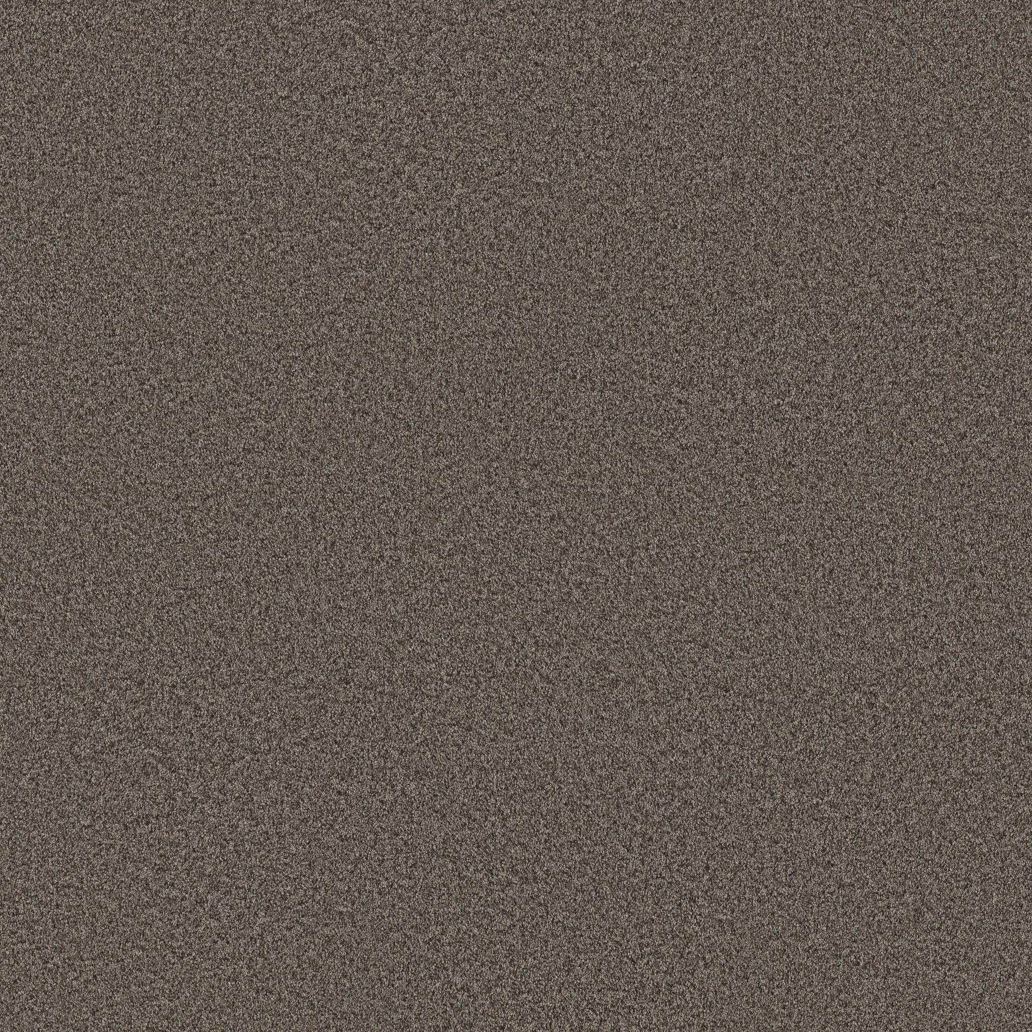 Take My Word I Carpet - Urban Rustic Zoomed Swatch Image