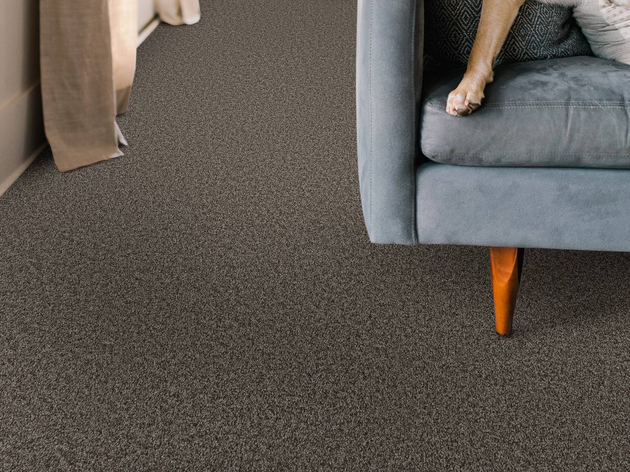 Style - Take My Word I,  Color - URBAN RUSTIC - Room Scene