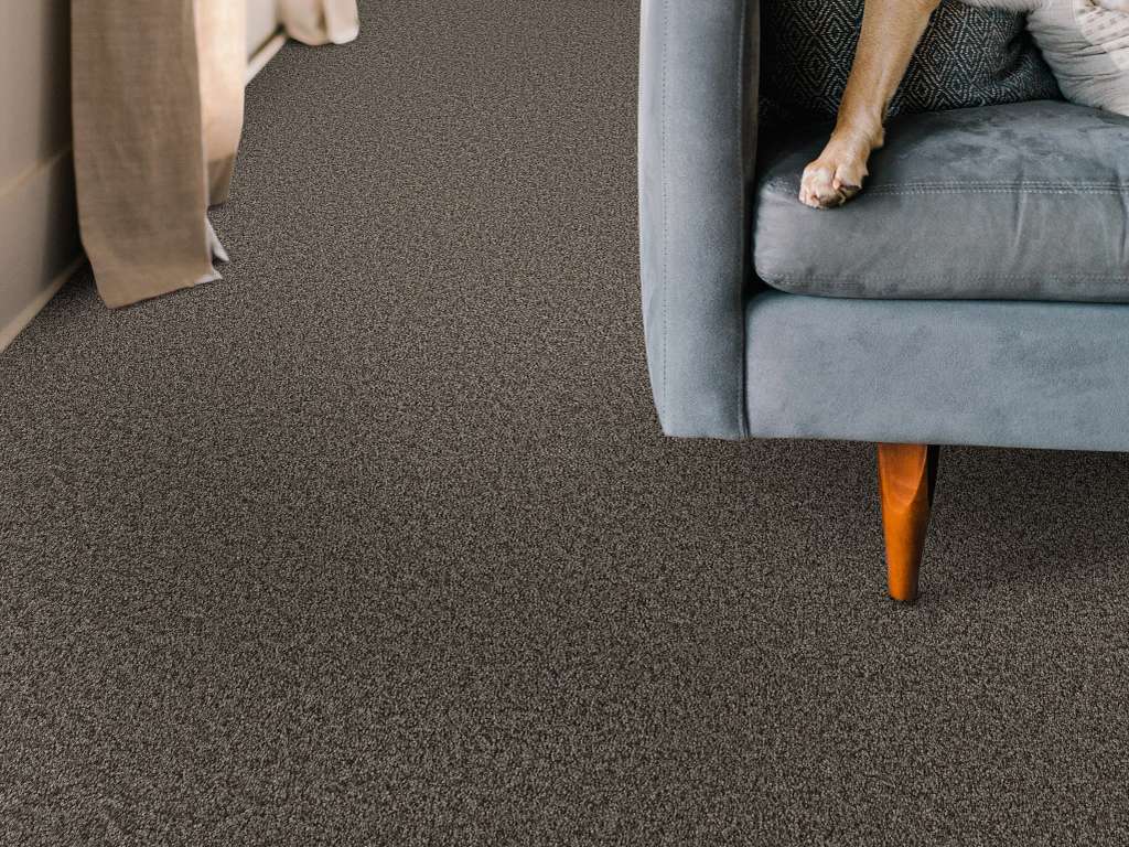 Take My Word I Carpet - Urban Rustic Room Scene Image