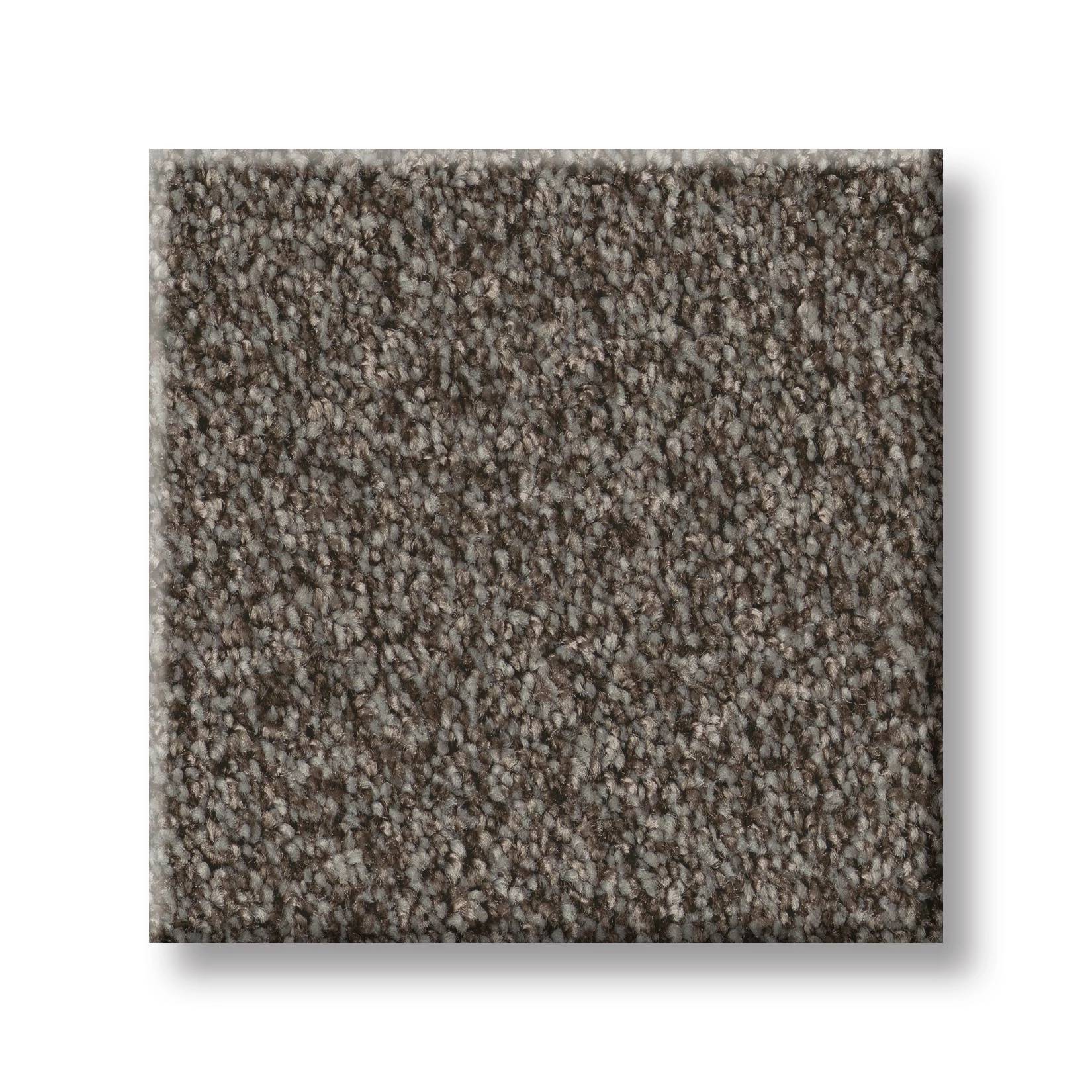 Take My Word I Carpet - Urban Rustic Swatch Thumbnail pupop1
