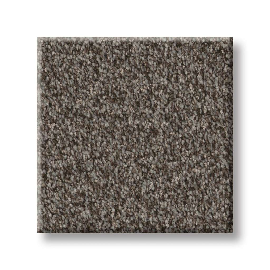 Take My Word I Carpet - Urban Rustic  Swatch Image 