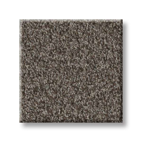 Style Take My Word I Carpet - Urban Rustic Swatch