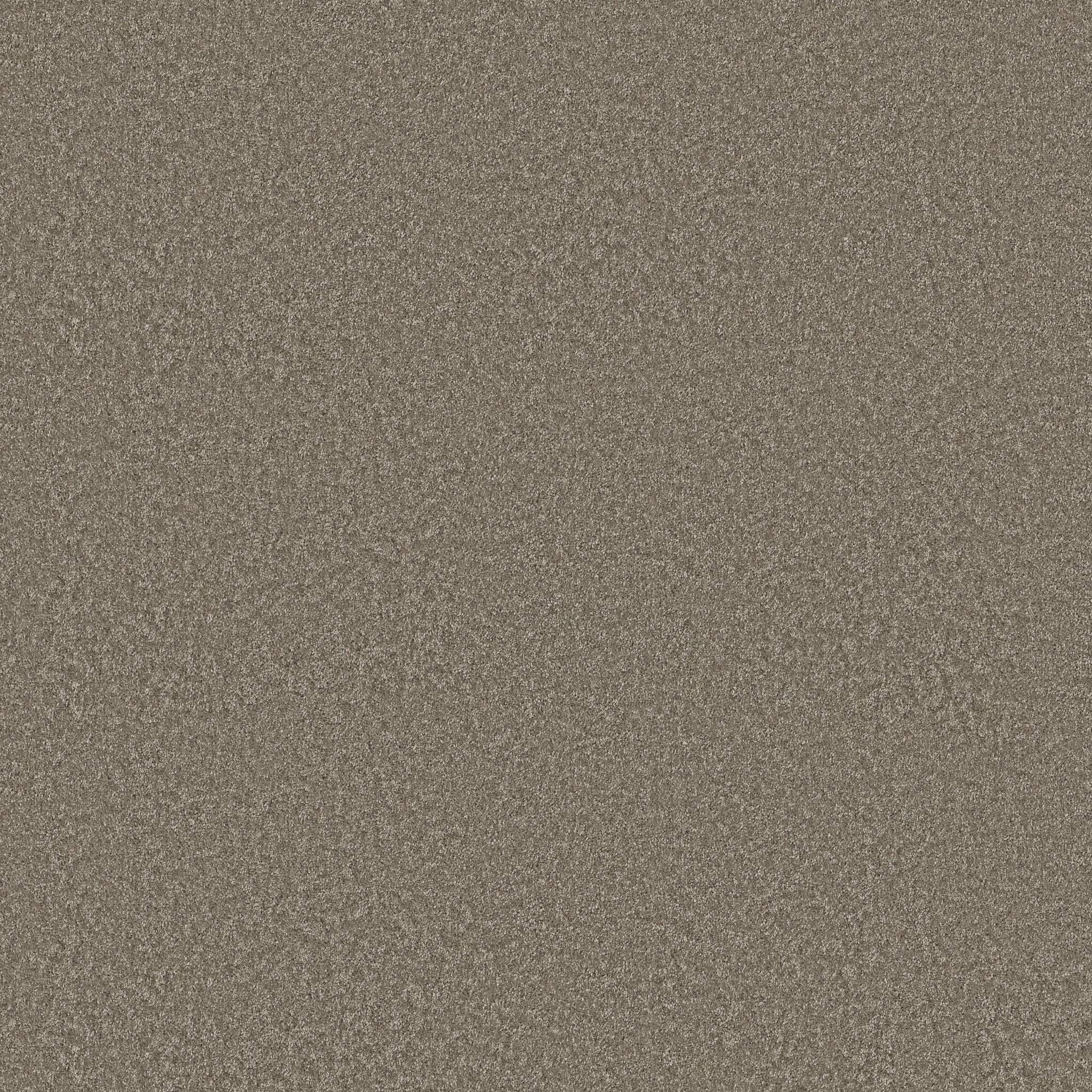 Take My Word I Carpet - Cobblestone Zoomed Swatch Image