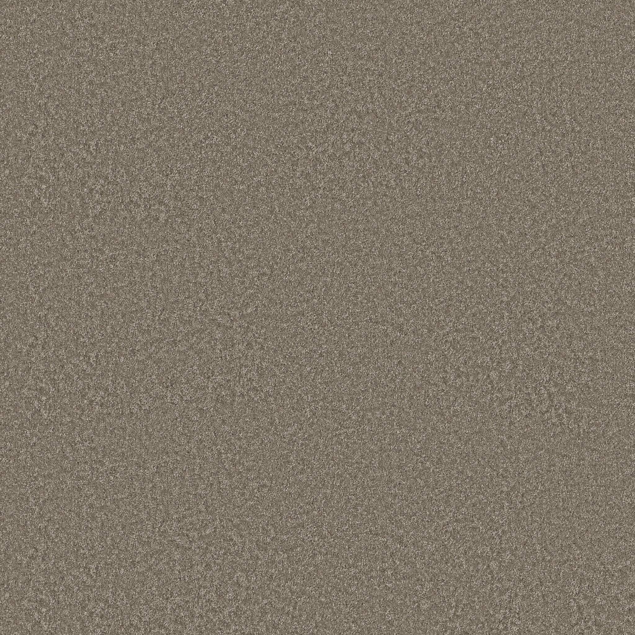 Take My Word I Carpet - Cobblestone Zoomed Swatch Image