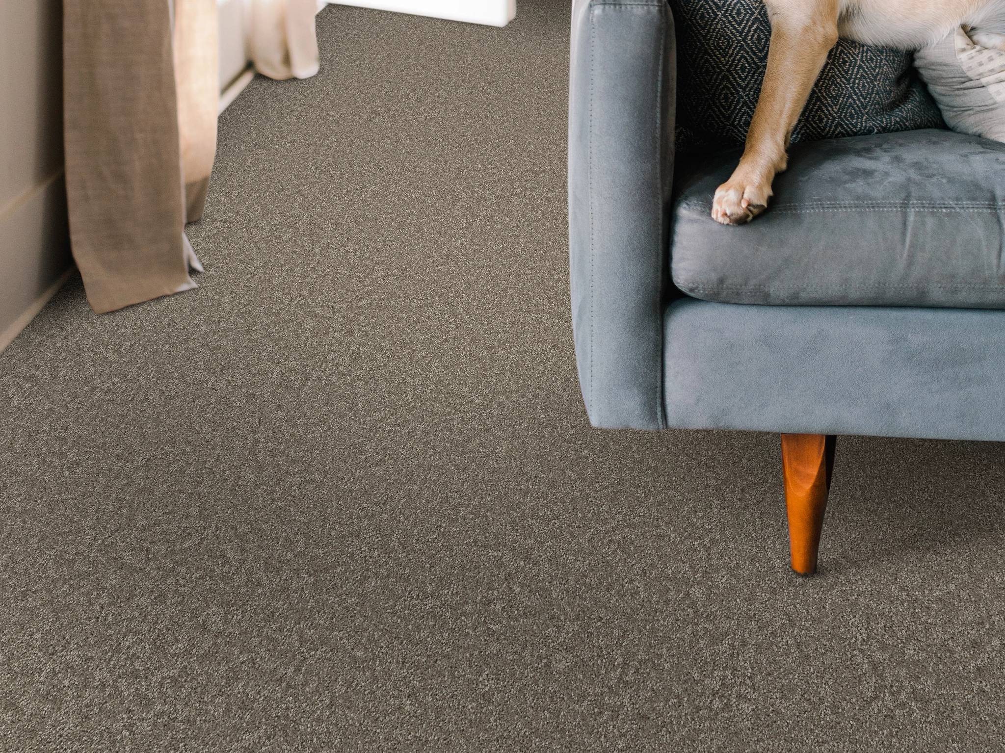 Style - Take My Word I,  Color - COBBLESTONE - Room Scene