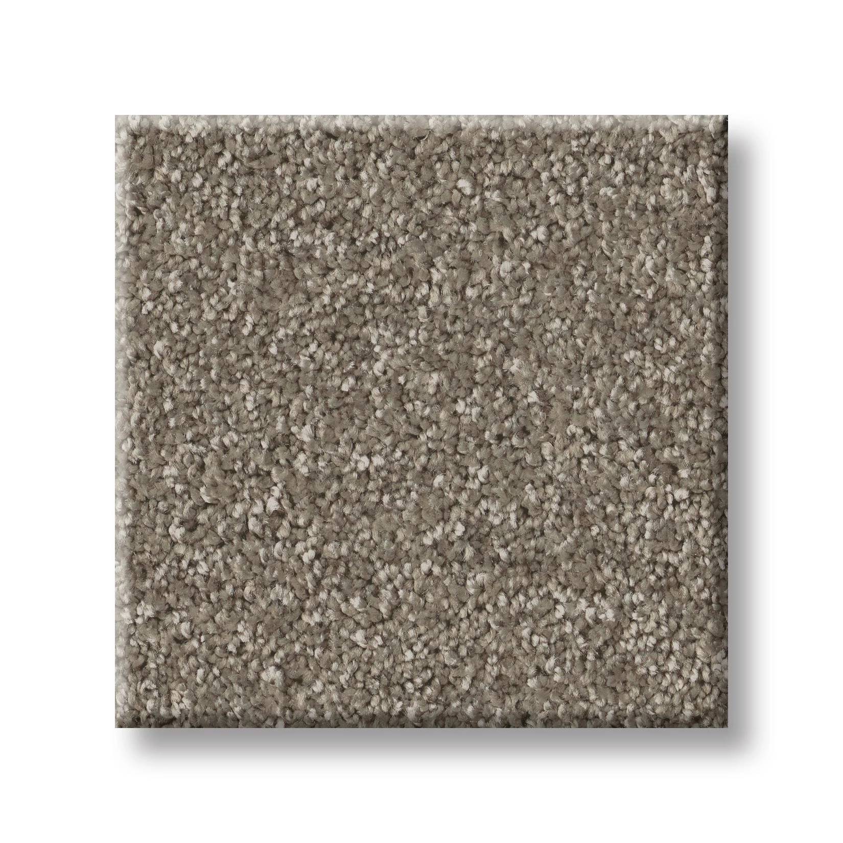 Take My Word I Carpet - Cobblestone Swatch Thumbnail pupop1