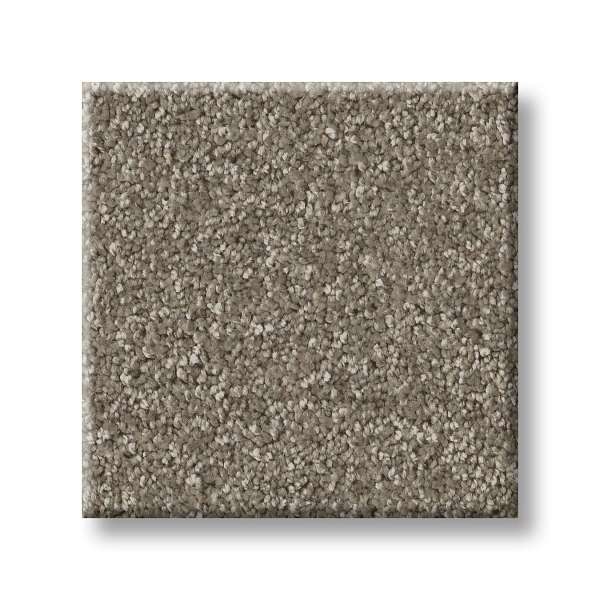 Style Take My Word I Carpet - Cobblestone Swatch