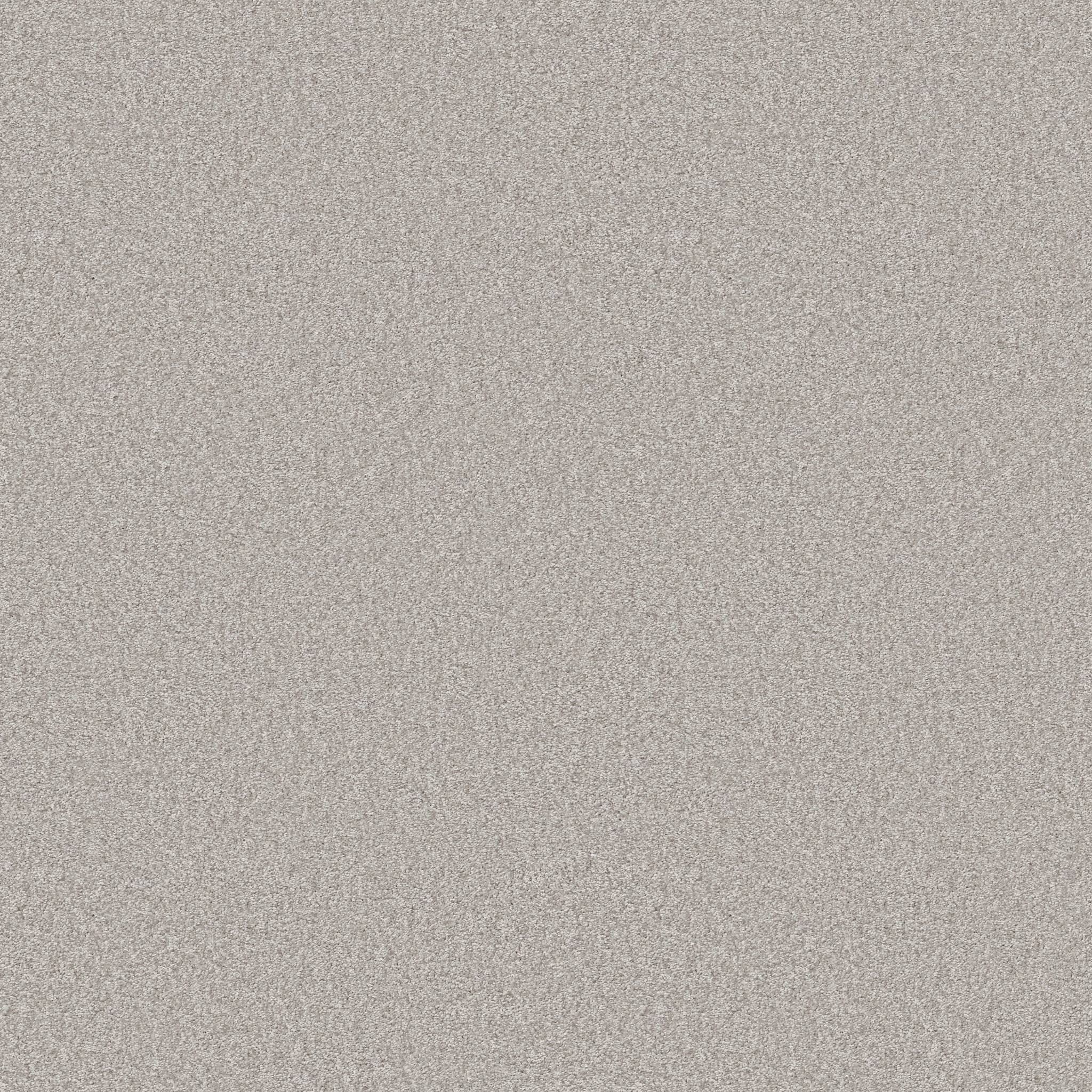 Take My Word II Carpet - Frozen Zoomed Swatch Image