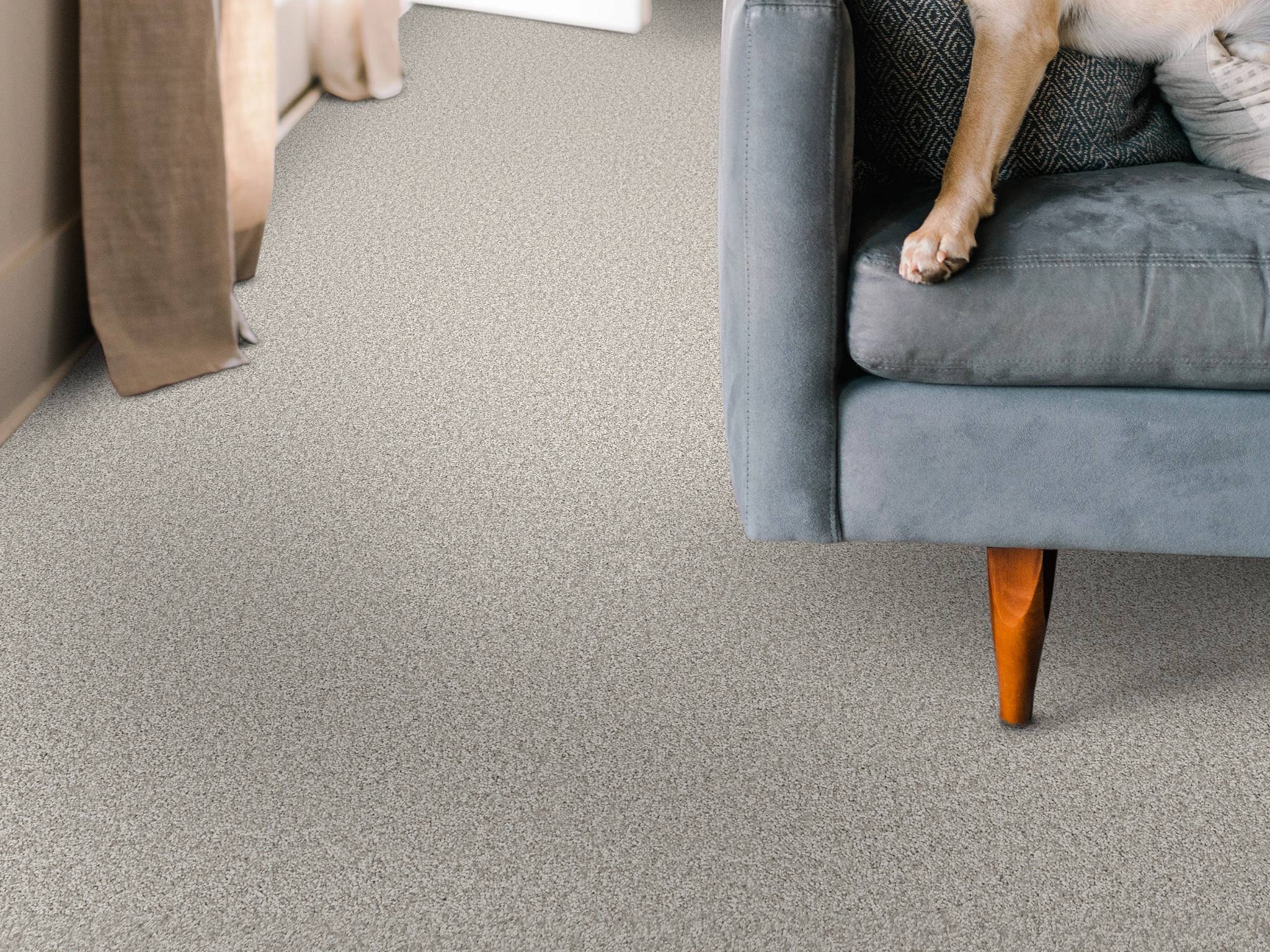 Style - Take My Word II,  Color - FROZEN - Room Scene