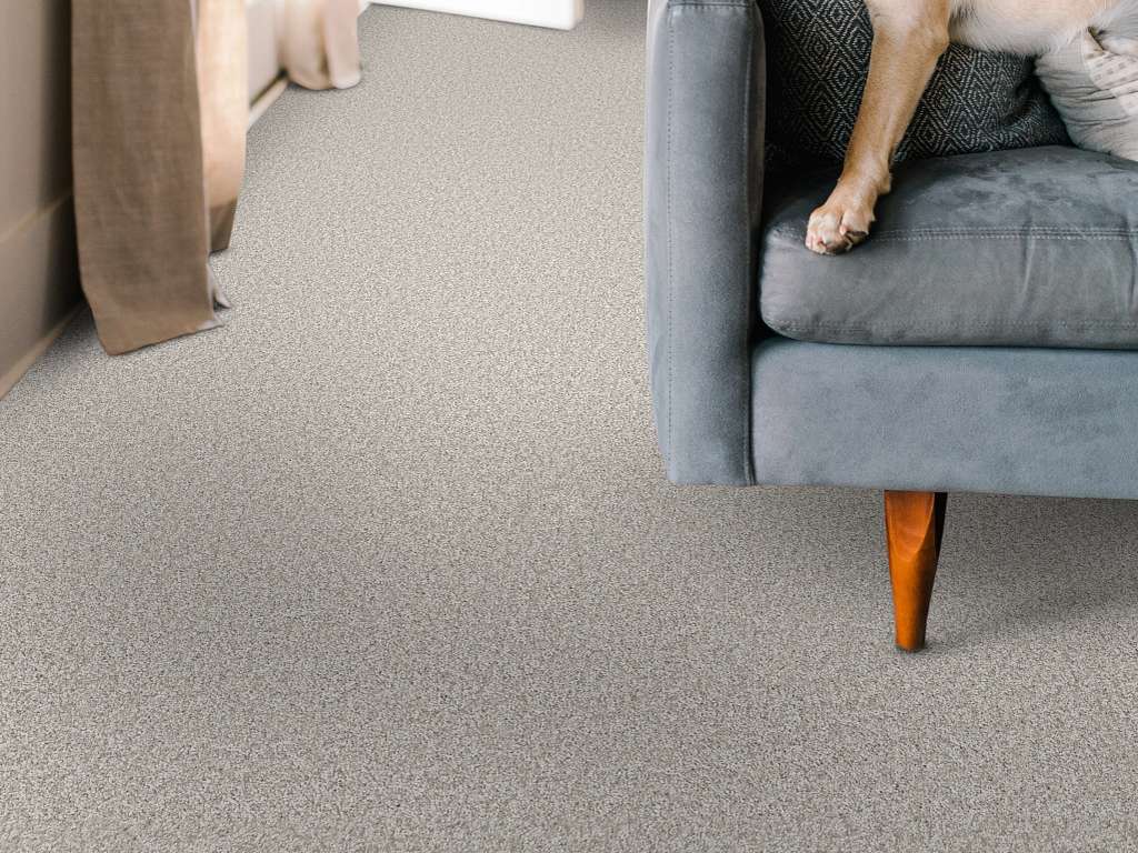 Take My Word II Carpet - Frozen Room Scene Image