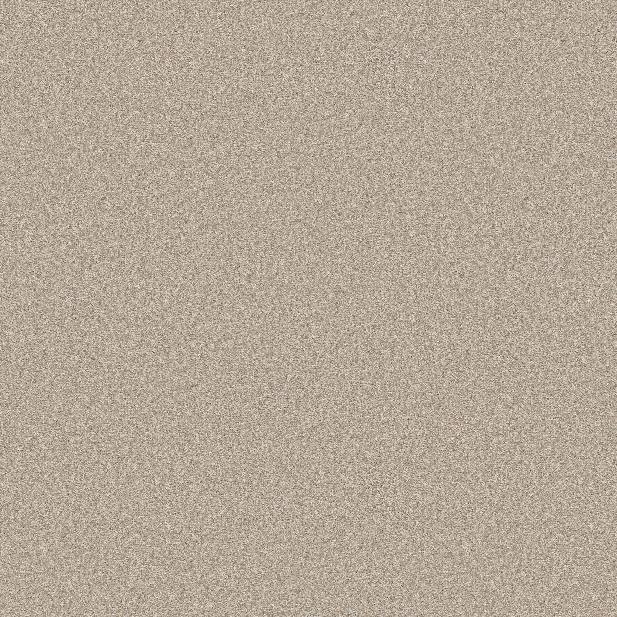 Take My Word II Carpet - Natural Zoomed Swatch Image