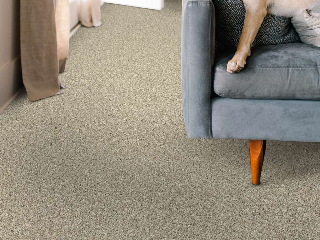 Take My Word II Carpet - Natural Room Scene Image