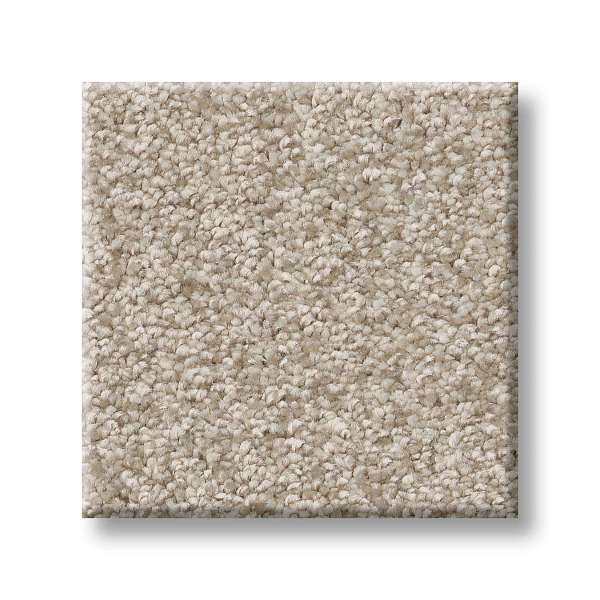 Shaw berber carpet clearance colors