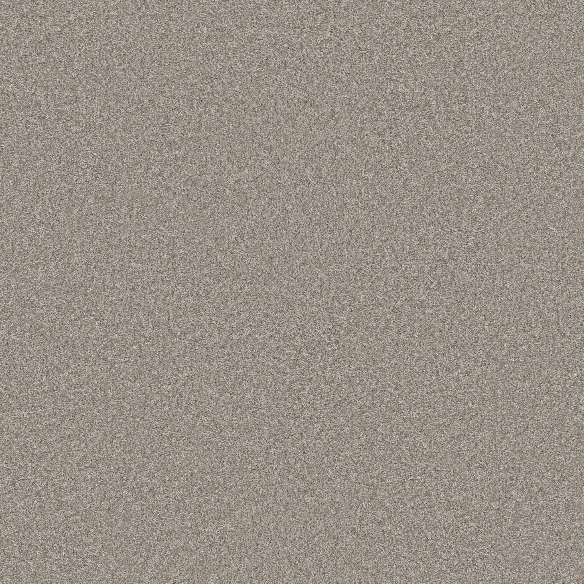 Take My Word II Carpet - Chic Greige Zoomed Swatch Image