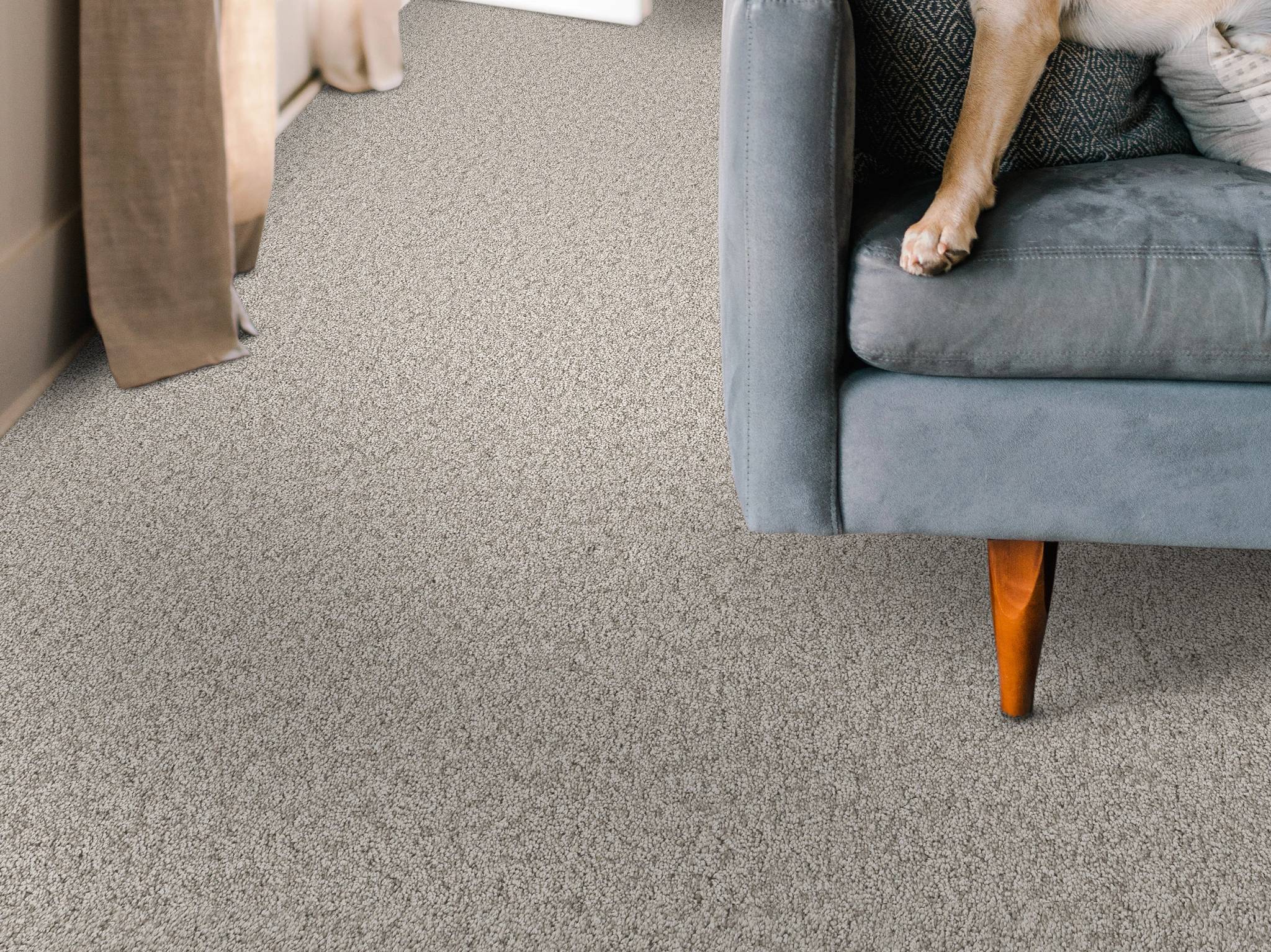 take my word ii smc14 - chic greige Costco | Shaw Carpet: Berber
