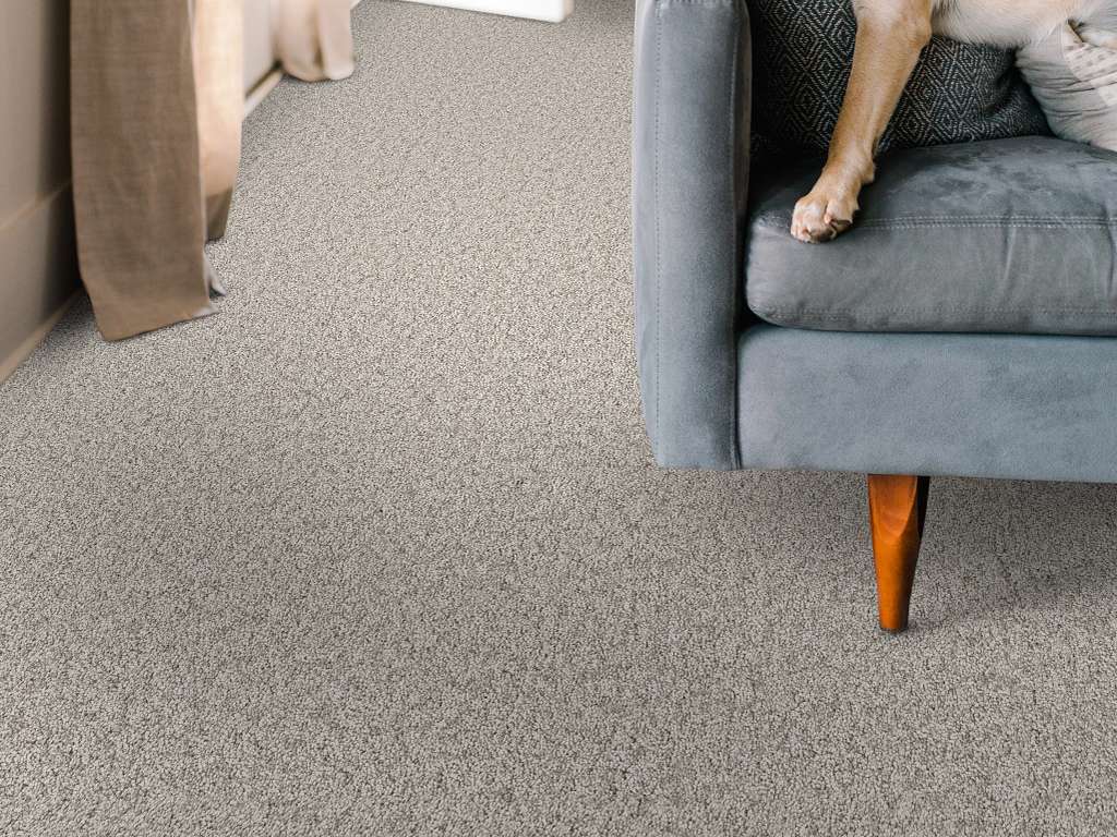 Take My Word II Carpet - Chic Greige Room Scene Image