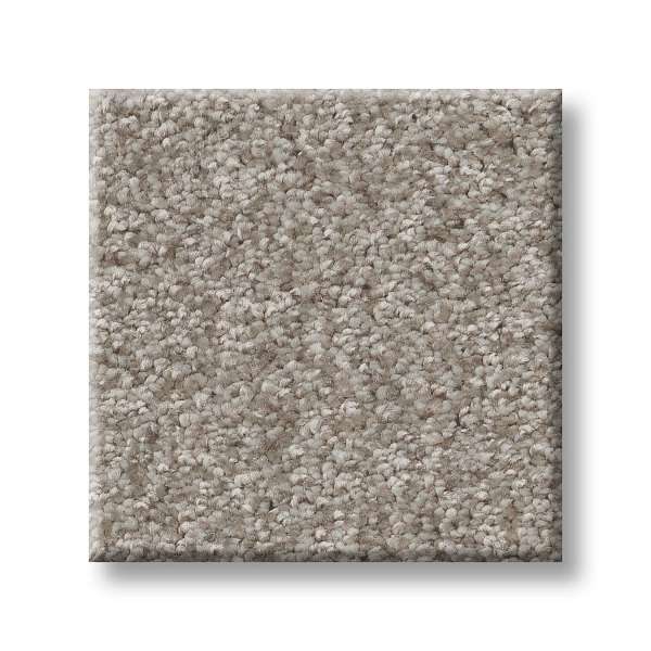 Style Take My Word II Carpet - Chic Greige Swatch