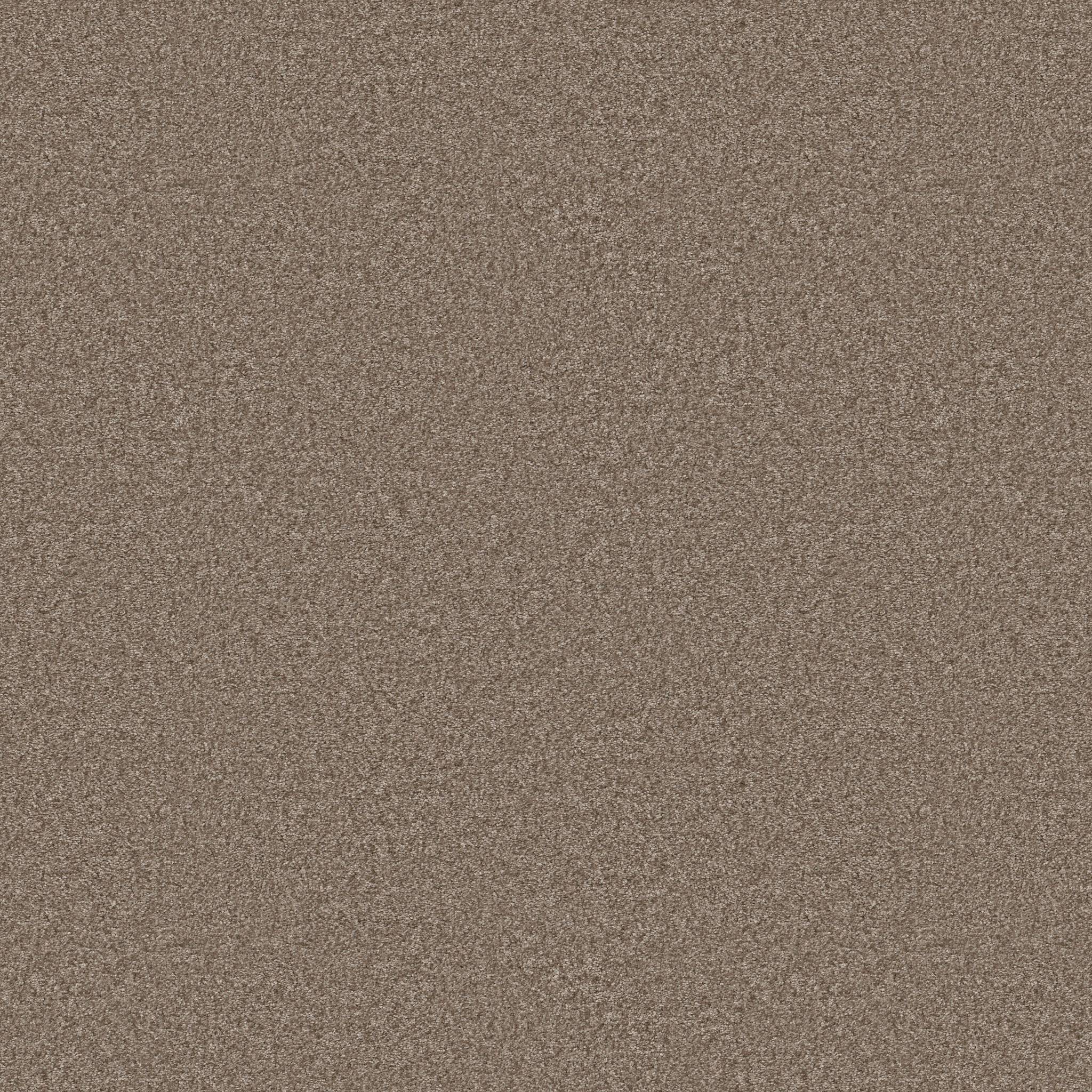 Take My Word II Carpet - Cameo Zoomed Swatch Image