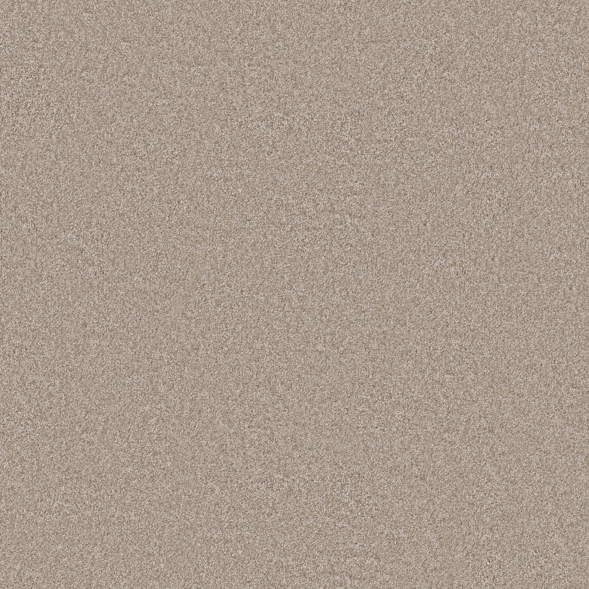 Take My Word II Carpet - Subtle Clay Zoomed Swatch Image