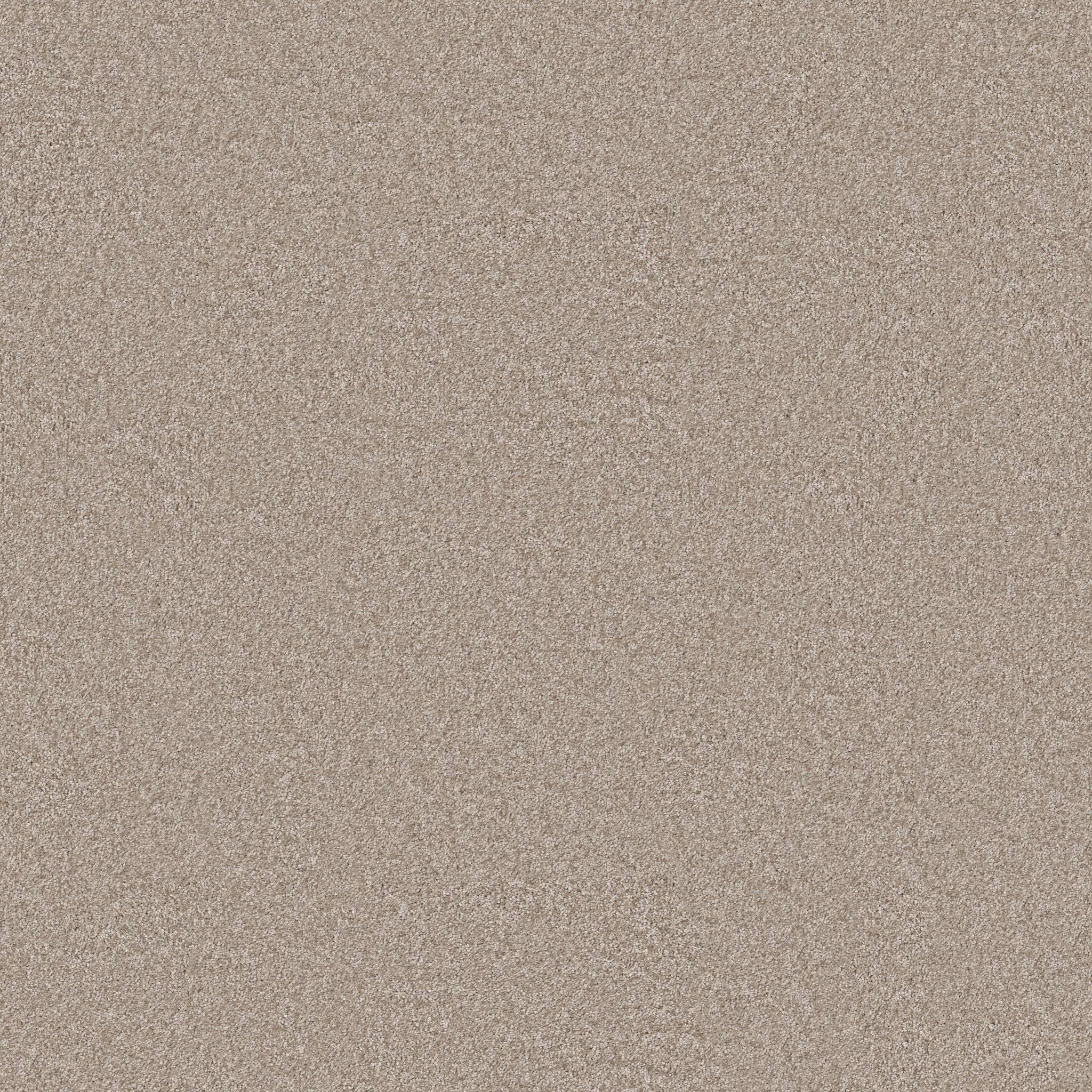 Take My Word II Carpet - Subtle Clay Zoomed Swatch Image