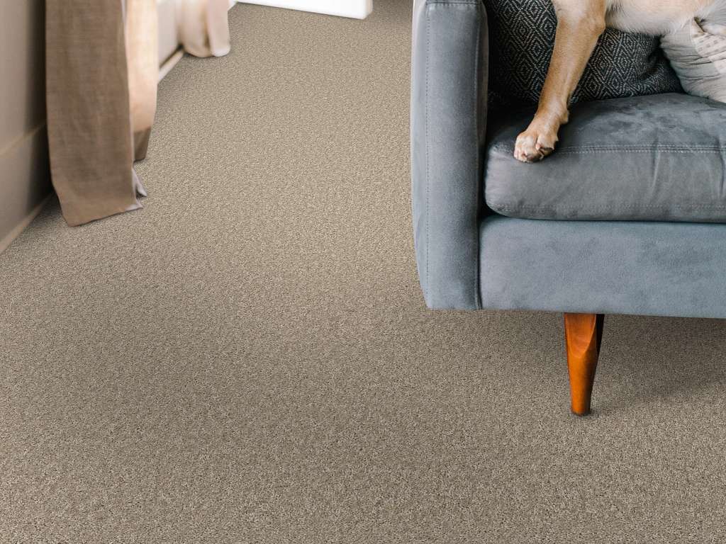Take My Word II Carpet - Subtle Clay Room Scene Image