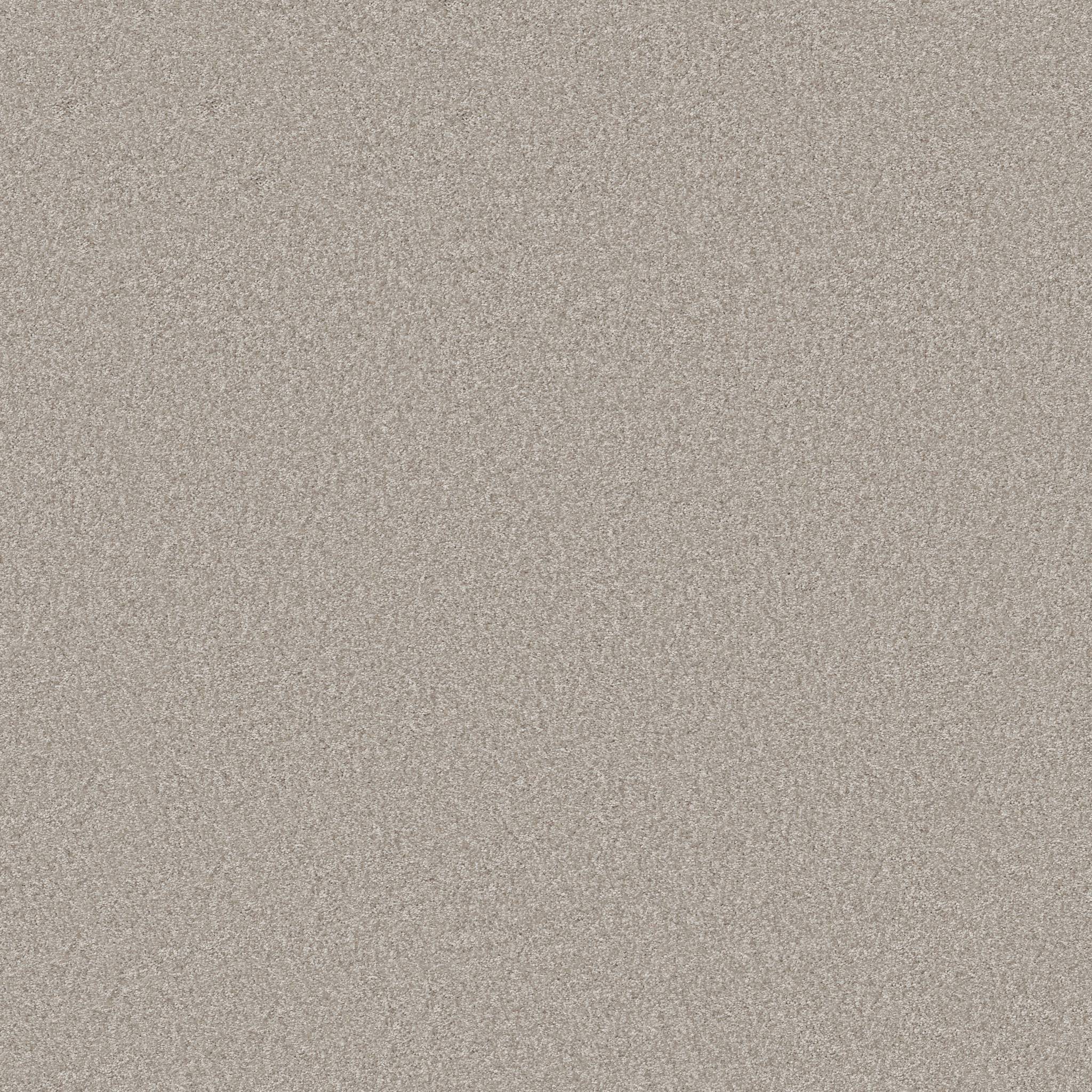Take My Word II Carpet - Sculpture Zoomed Swatch Image