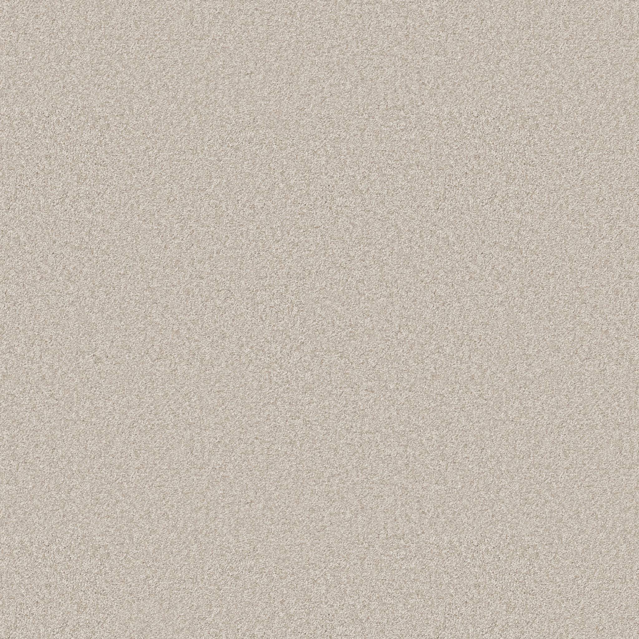 Take My Word II Carpet - Warm Light Zoomed Swatch Image