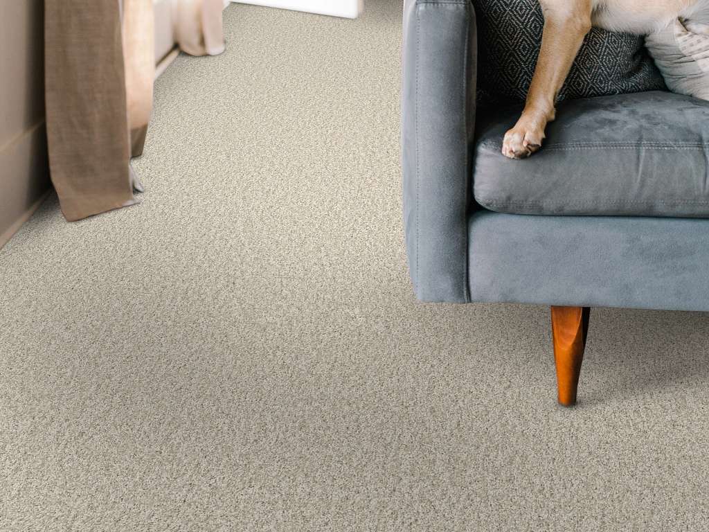 Take My Word II Carpet - Warm Light Room Scene Image