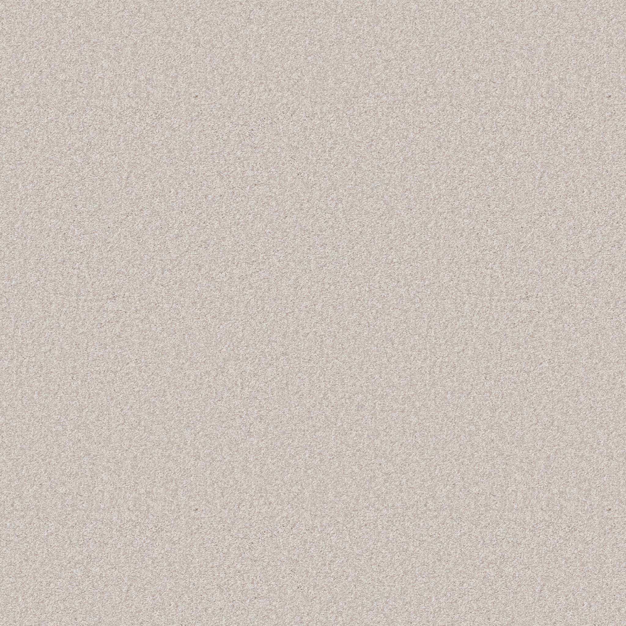 Take My Word II Carpet - Snowfall Zoomed Swatch Image
