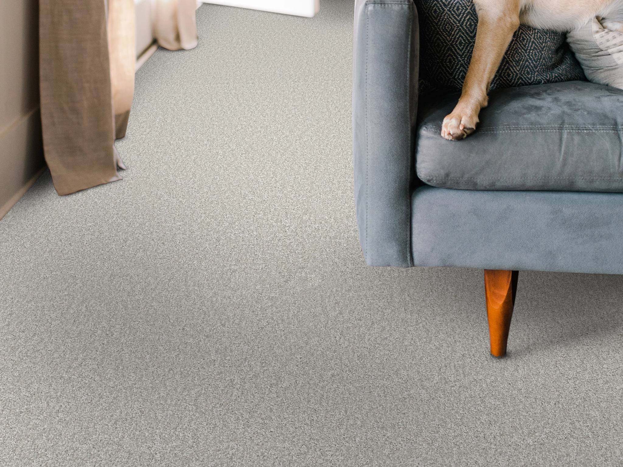 Style - Take My Word II,  Color - WHITECAP - Room Scene