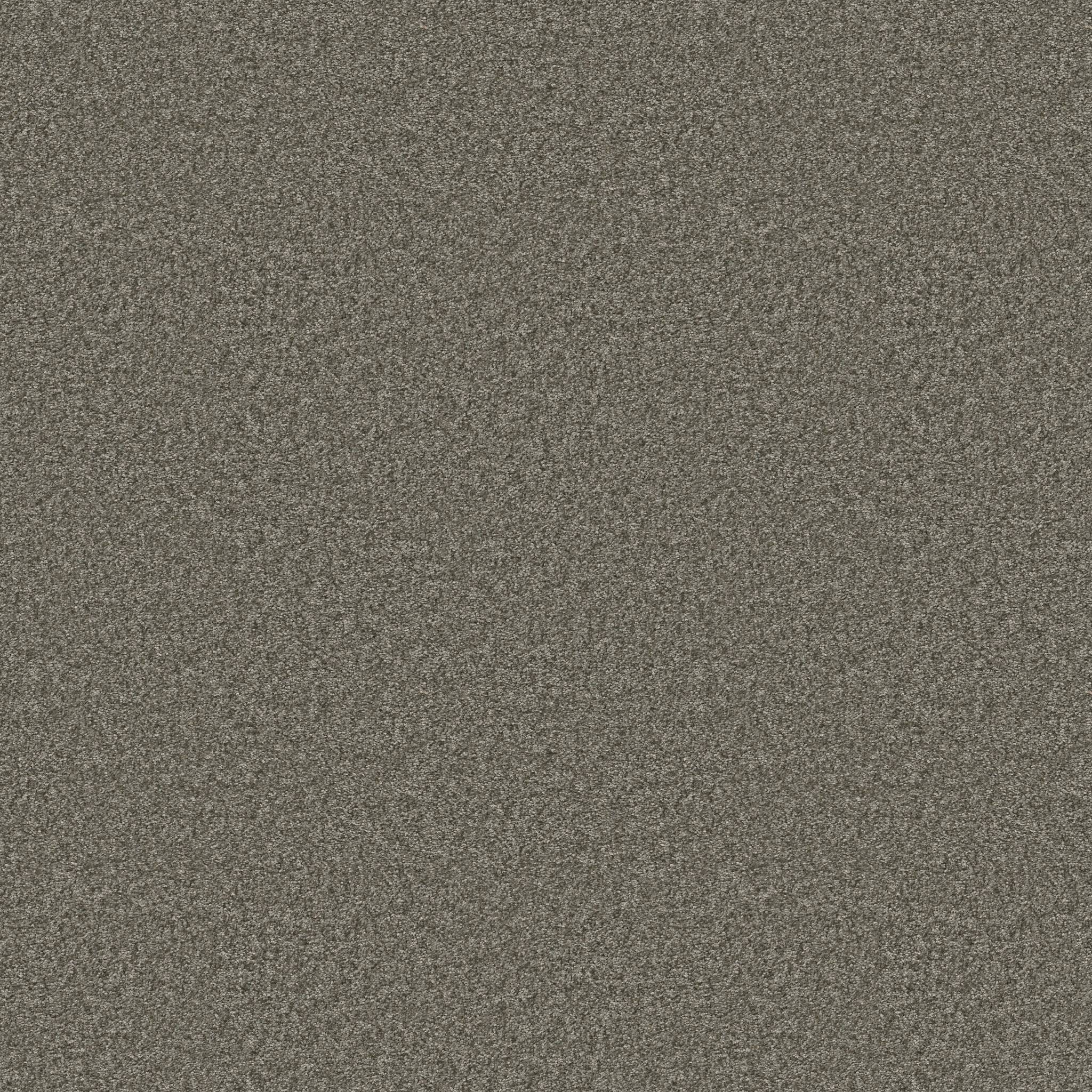Take My Word II Carpet - Rerooted Nature Zoomed Swatch Image
