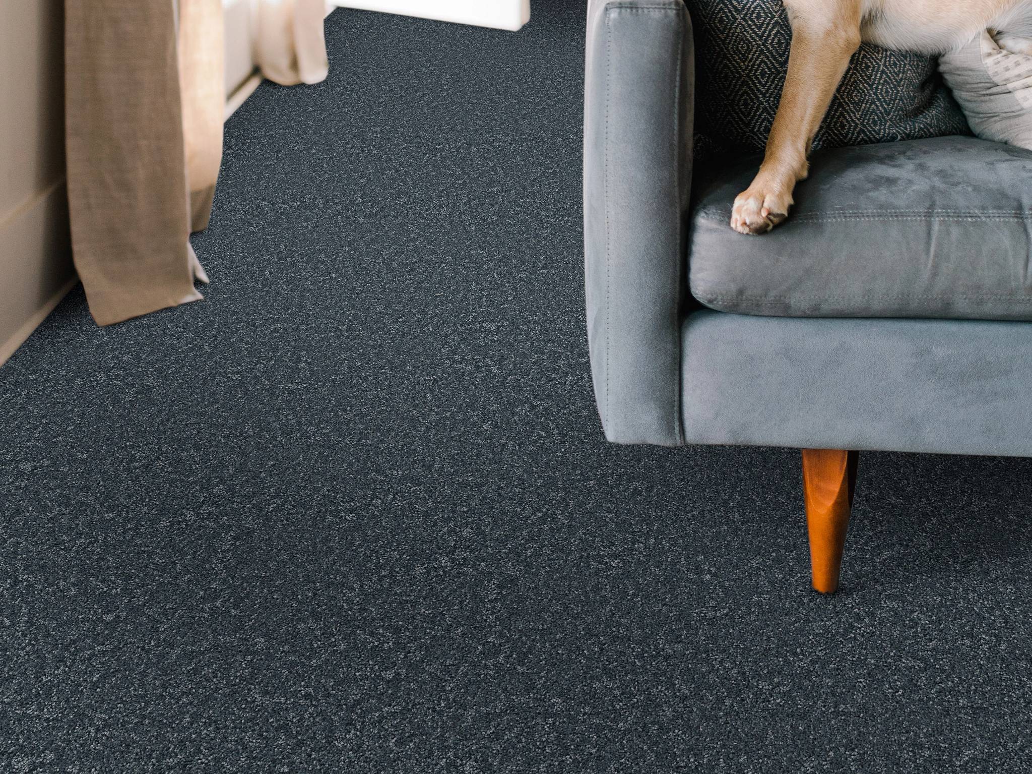 Style - Take My Word II,  Color - REFINED - Room Scene