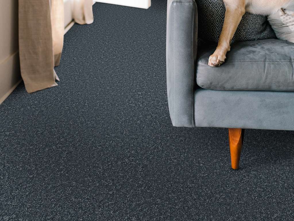 Take My Word II Carpet - Refined Room Scene Image