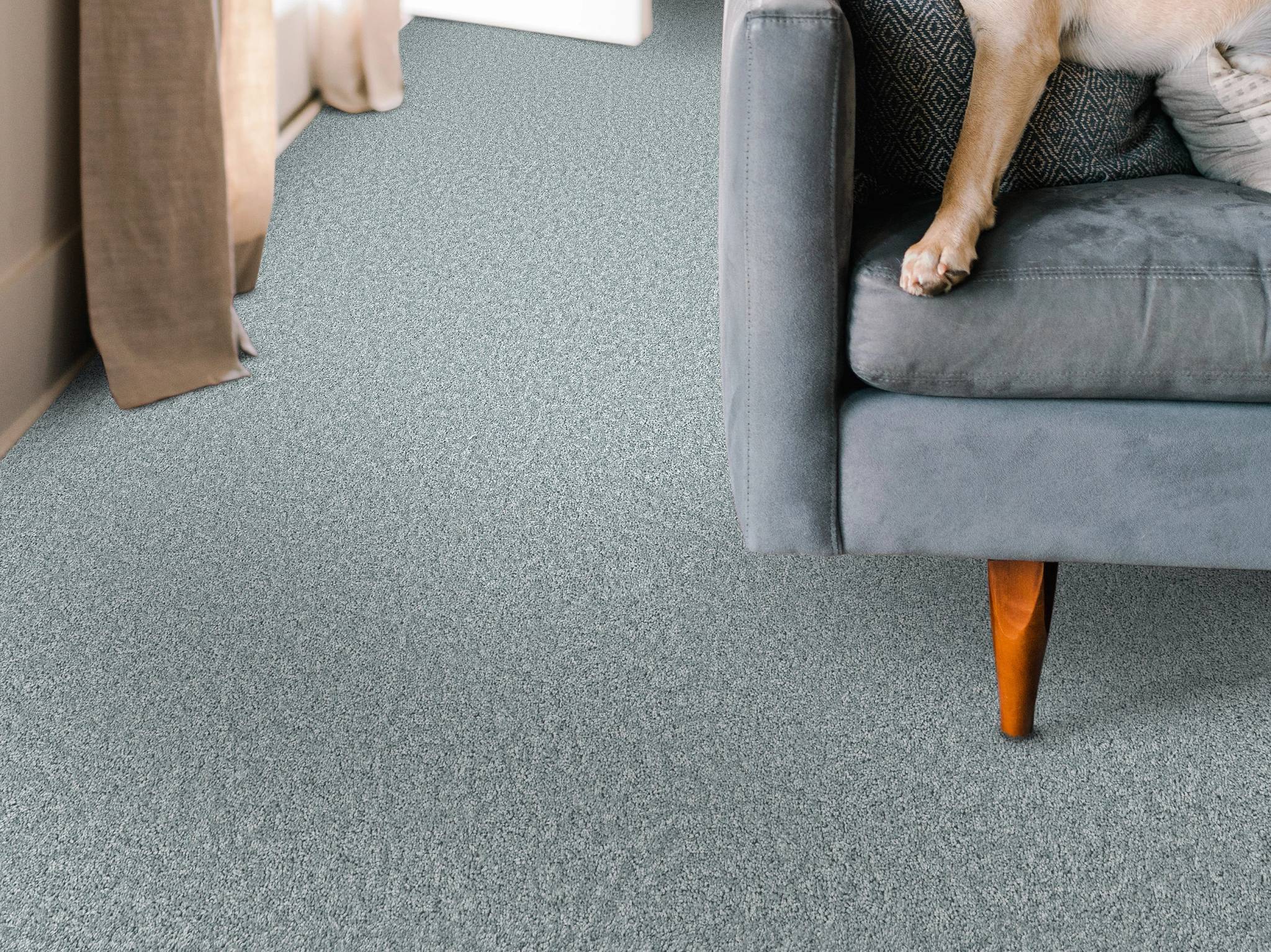 Style - Take My Word II,  Color - SEA ICE - Room Scene