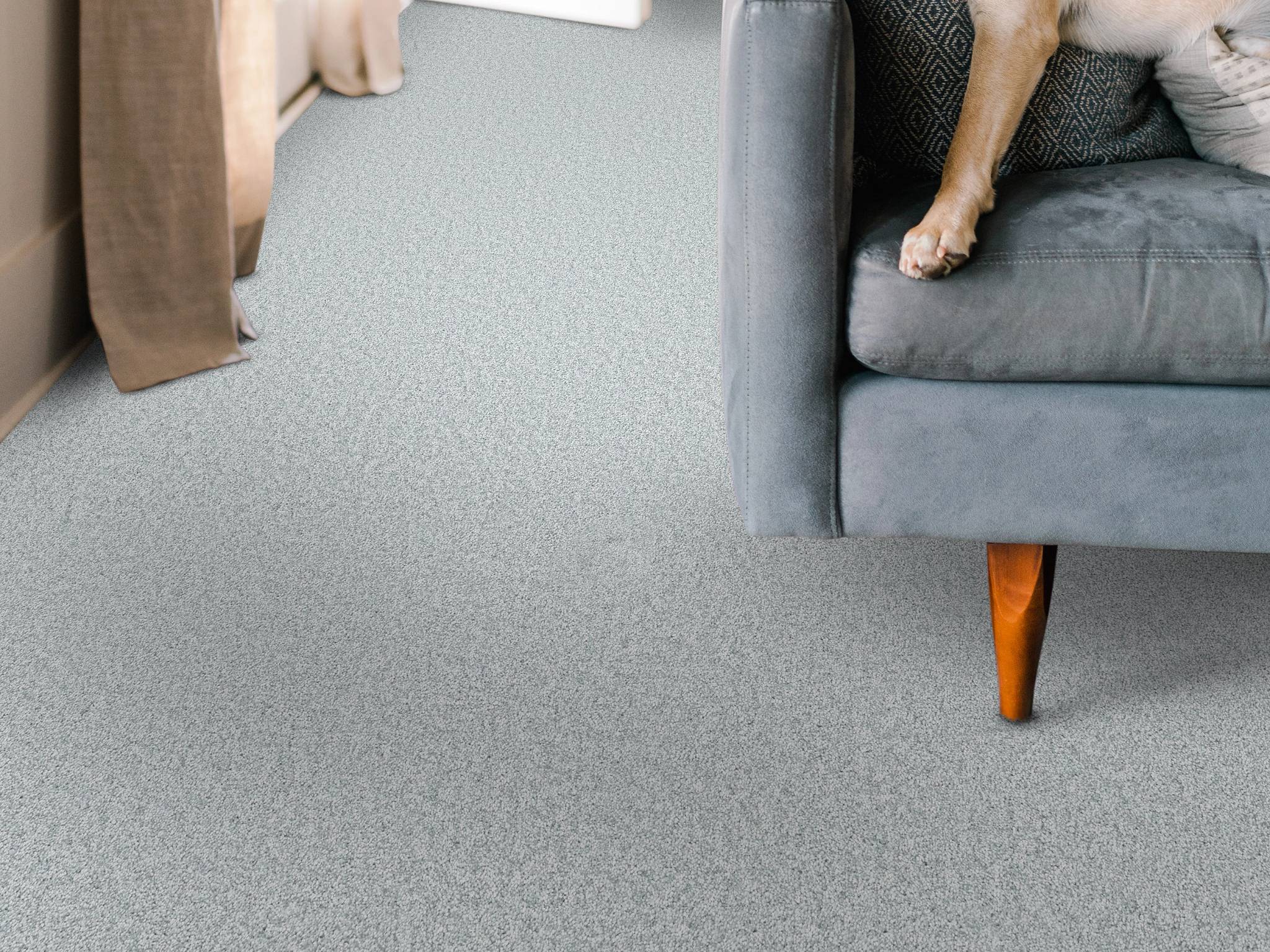 Style - Take My Word II,  Color - SERENE BLUE - Room Scene