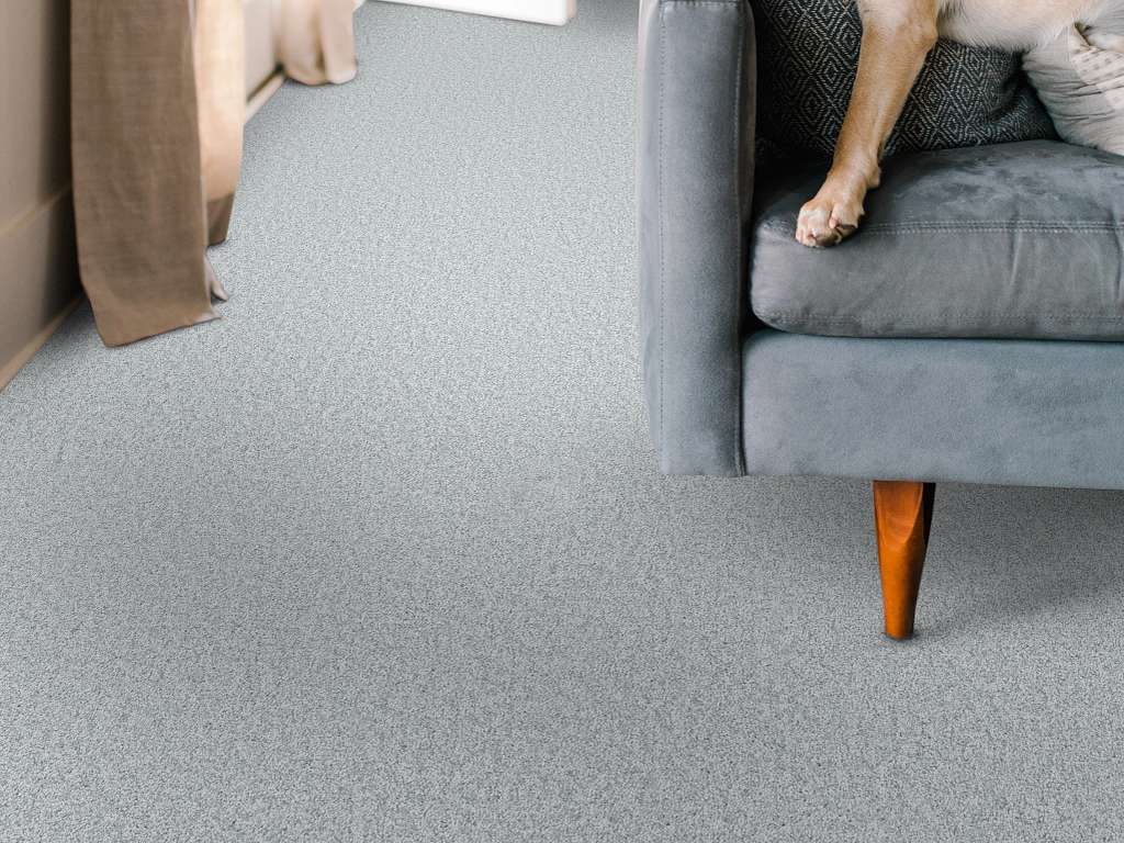 Take My Word II Carpet - Serene Blue Room Scene Image