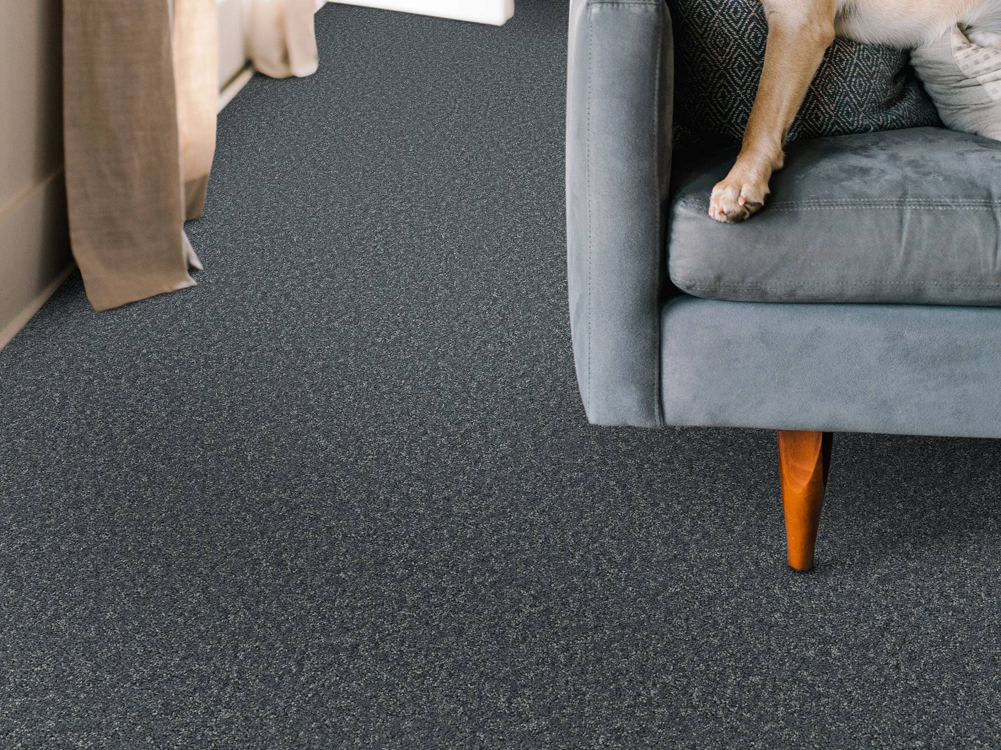 Style - Take My Word II,  Color - REFLECTION - Room Scene