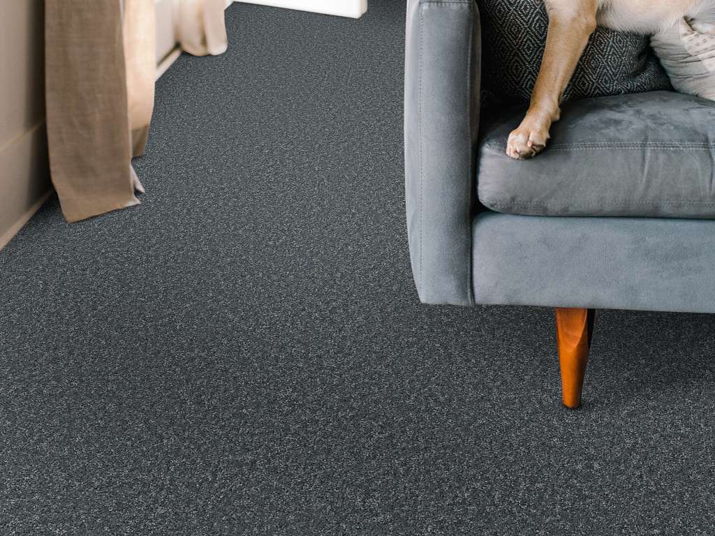 Take My Word II Carpet - Reflection Room Scene Image