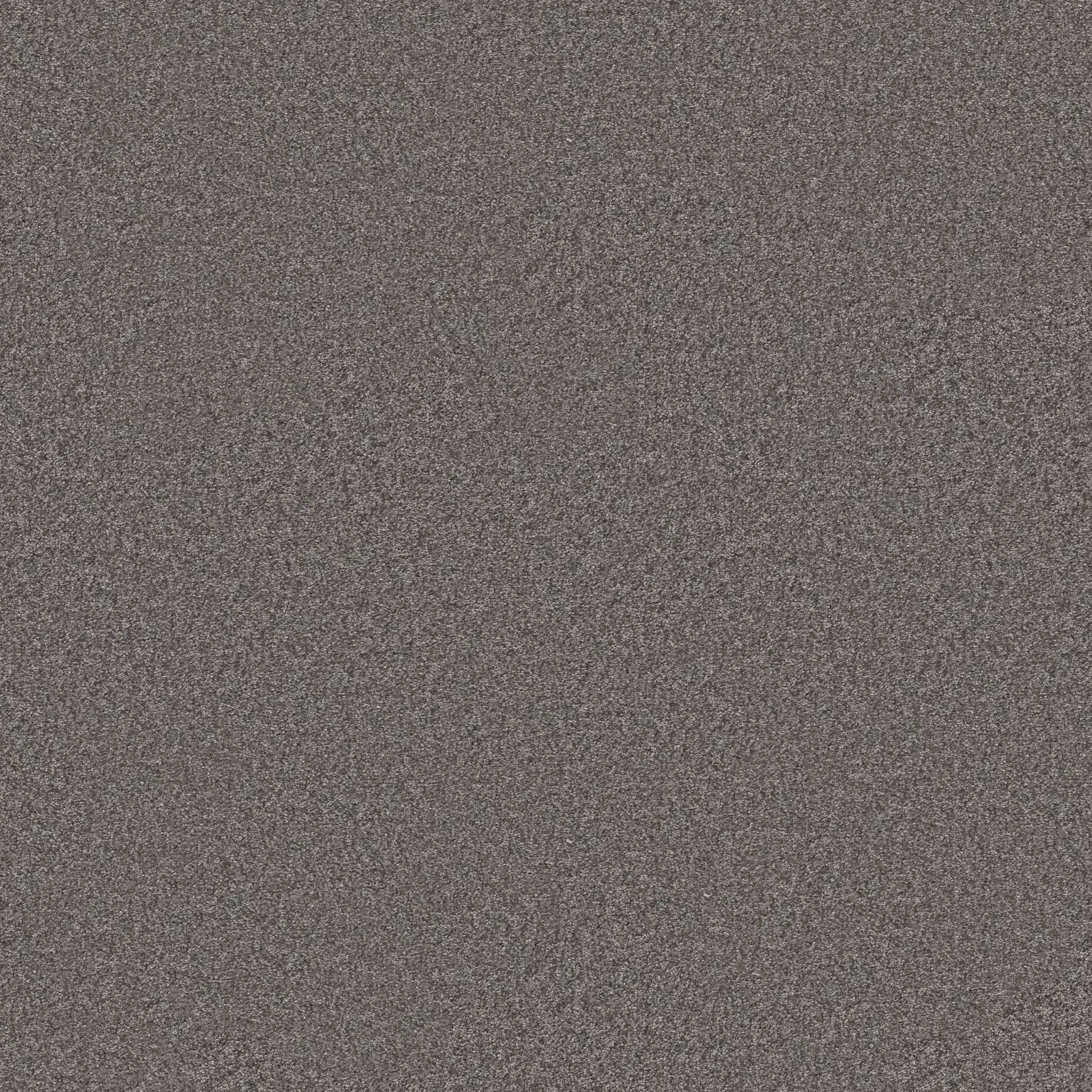 Take My Word II Carpet - Ashes Zoomed Swatch Image