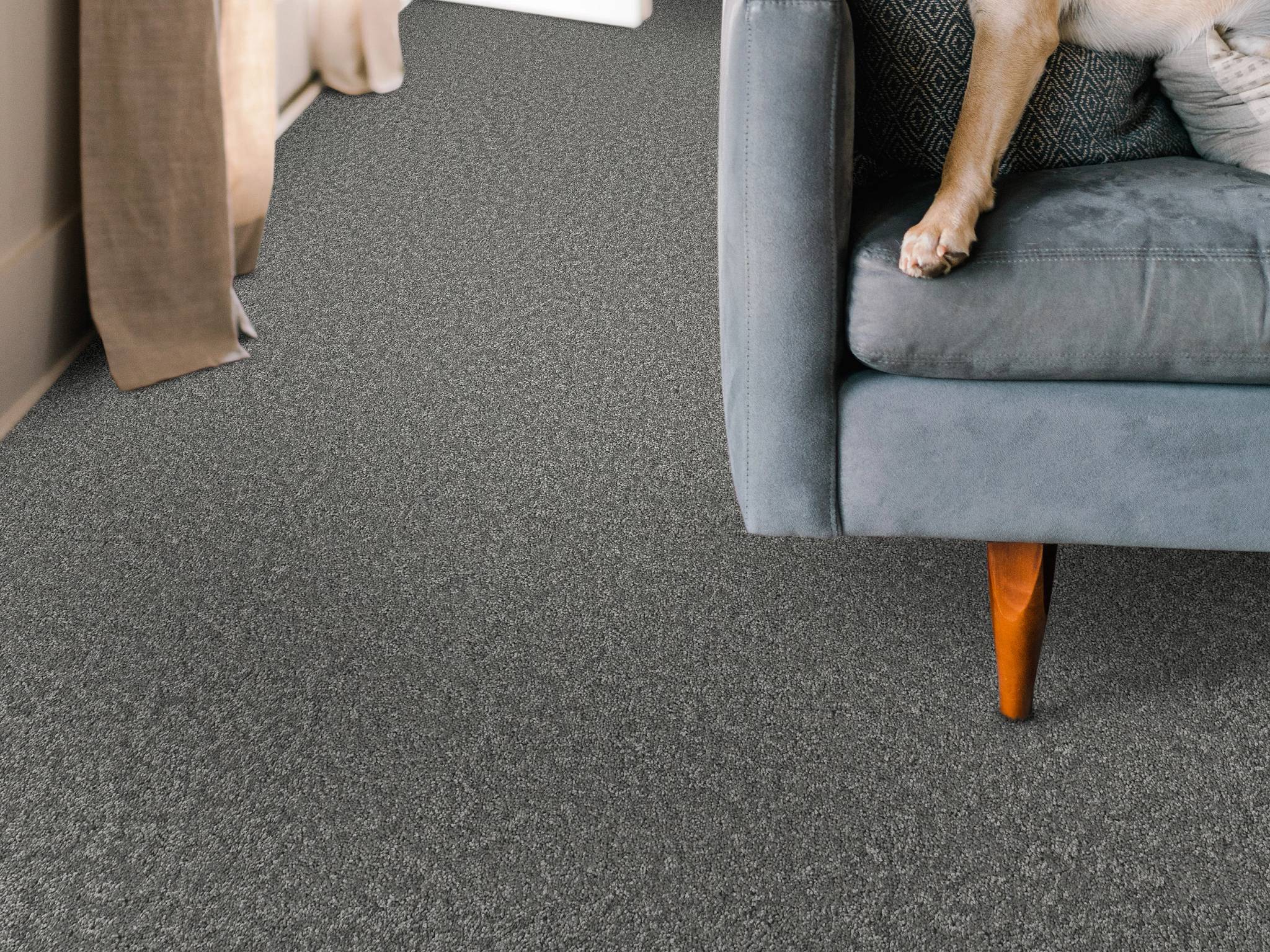 Style - Take My Word II,  Color - ASHES - Room Scene