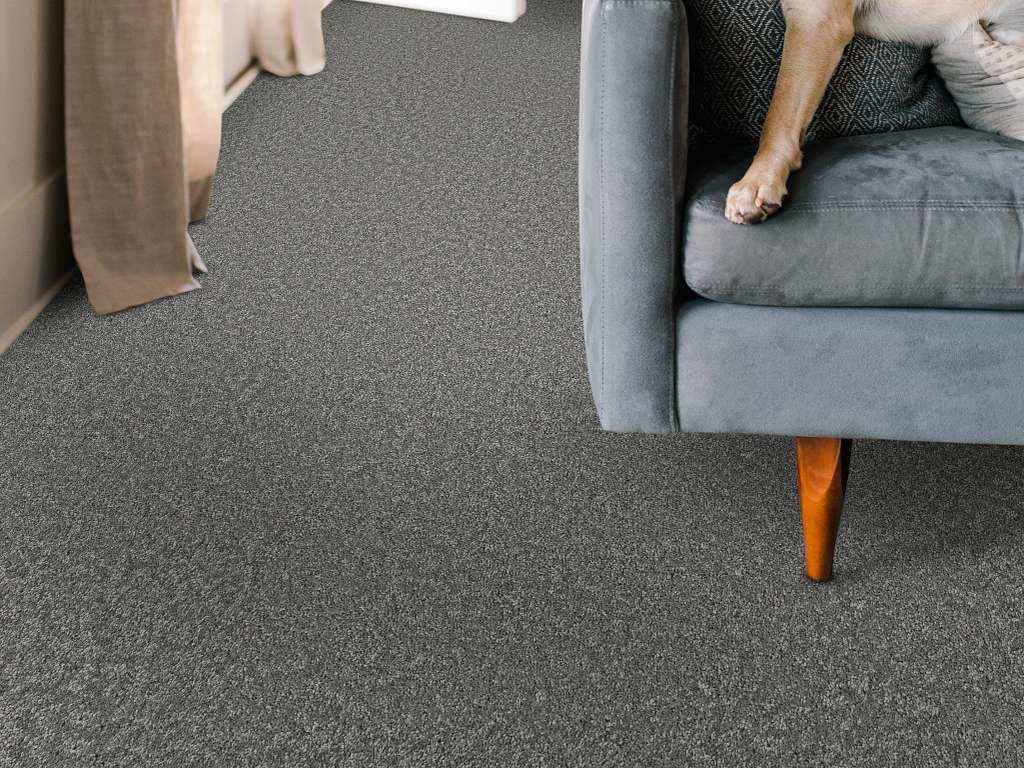 Take My Word II Carpet - Ashes Room Scene Image