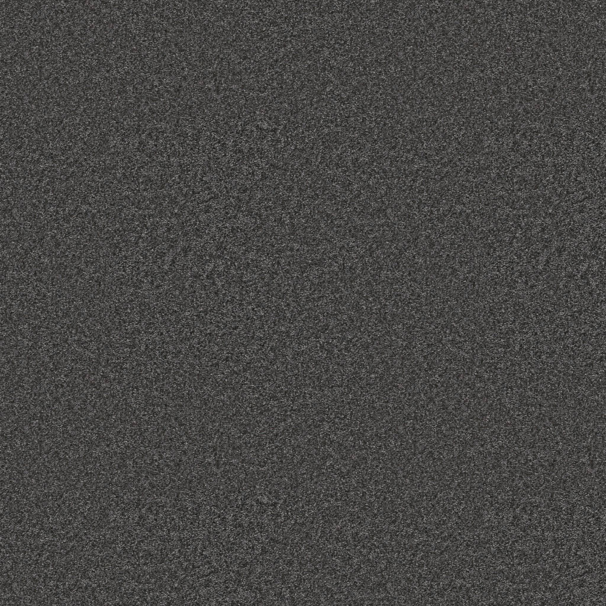 Take My Word II Carpet - Shadow Zoomed Swatch Image