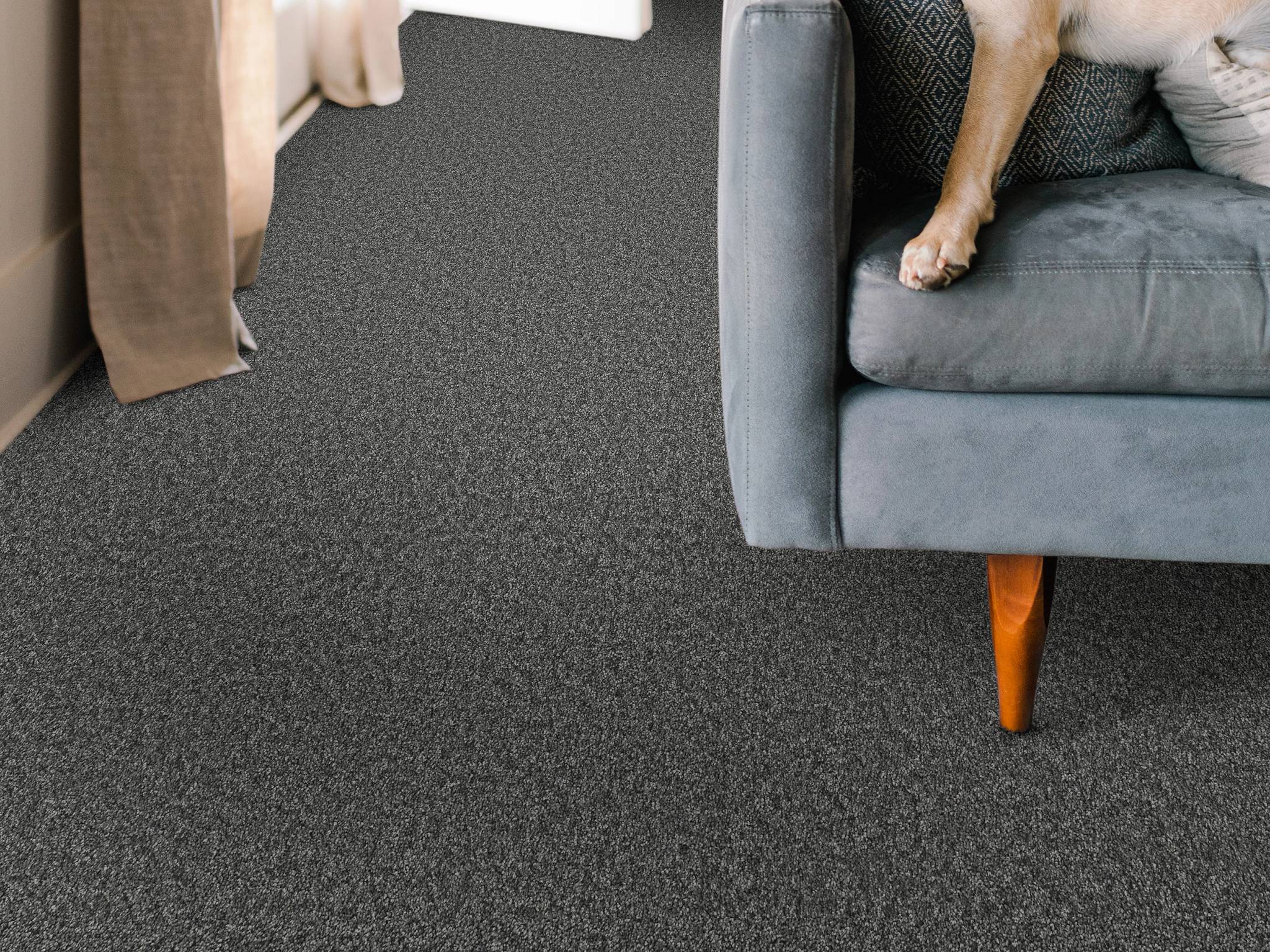 Style - Take My Word II,  Color - SHADOW - Room Scene