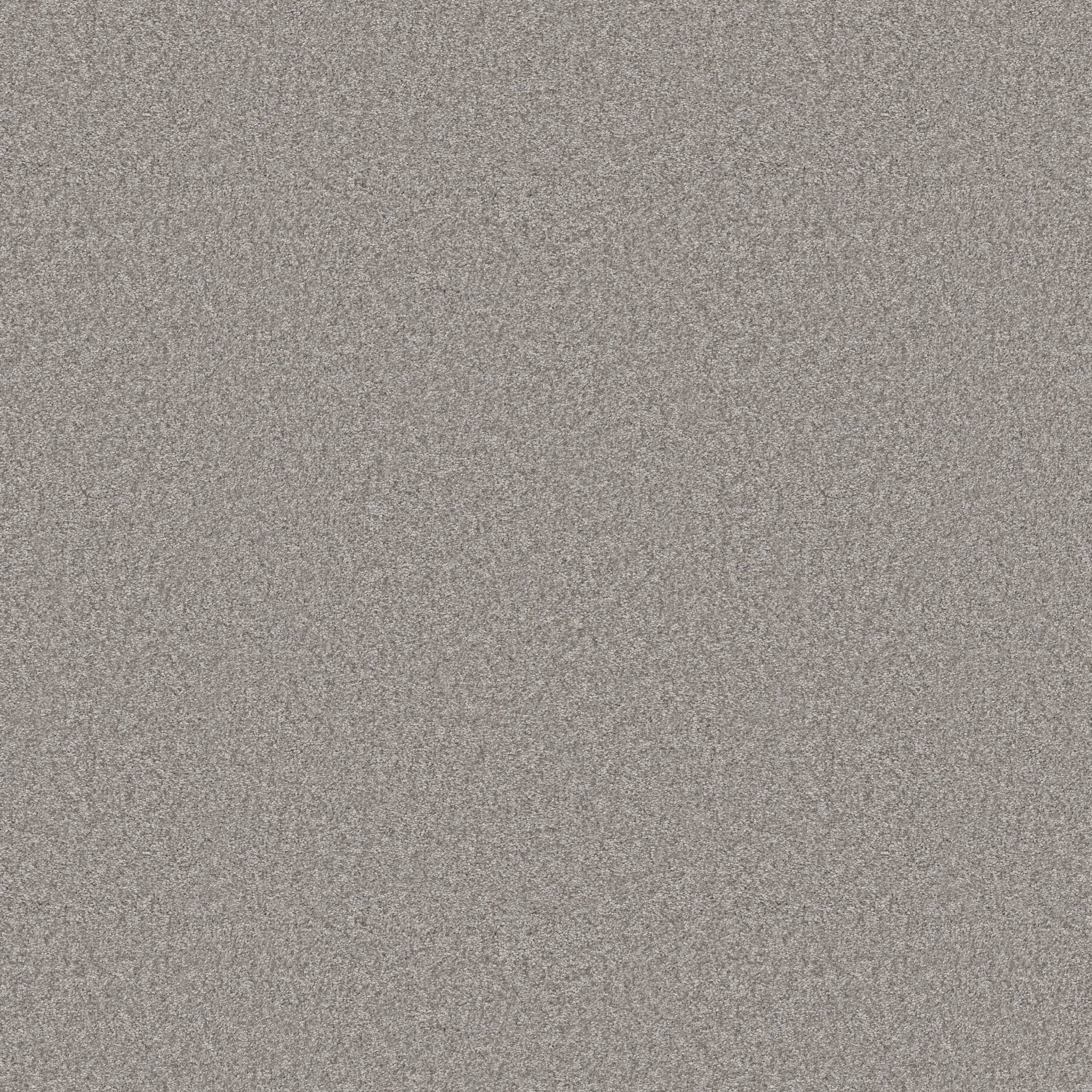 Take My Word II Carpet - Rock Crystal Zoomed Swatch Image