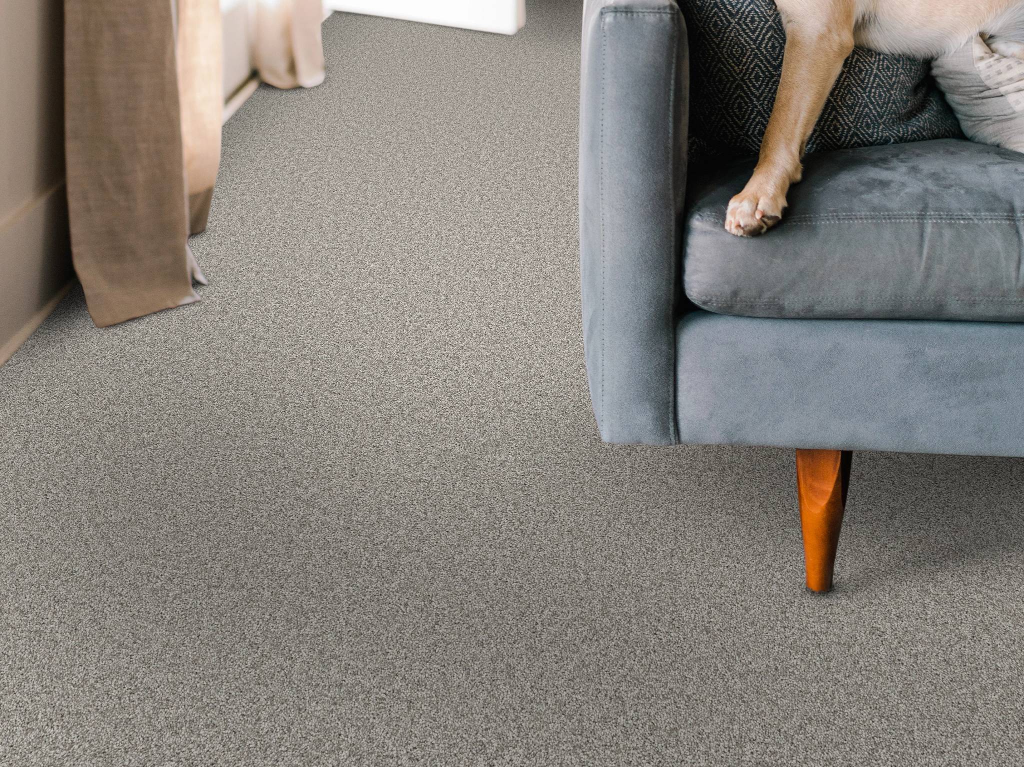 Style - Take My Word II,  Color - ROCK CRYSTAL - Room Scene