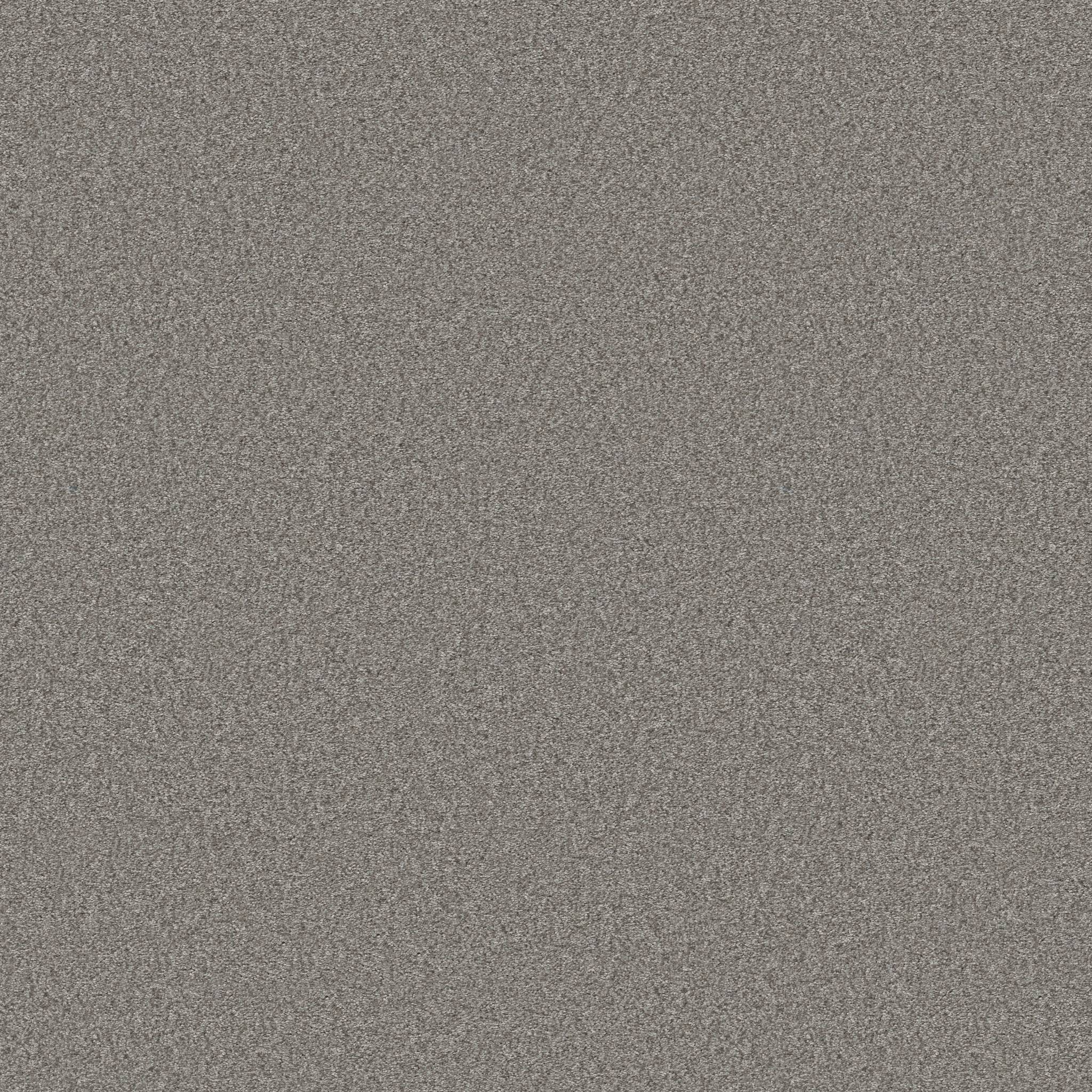 Take My Word II Carpet - Vintage Zoomed Swatch Image